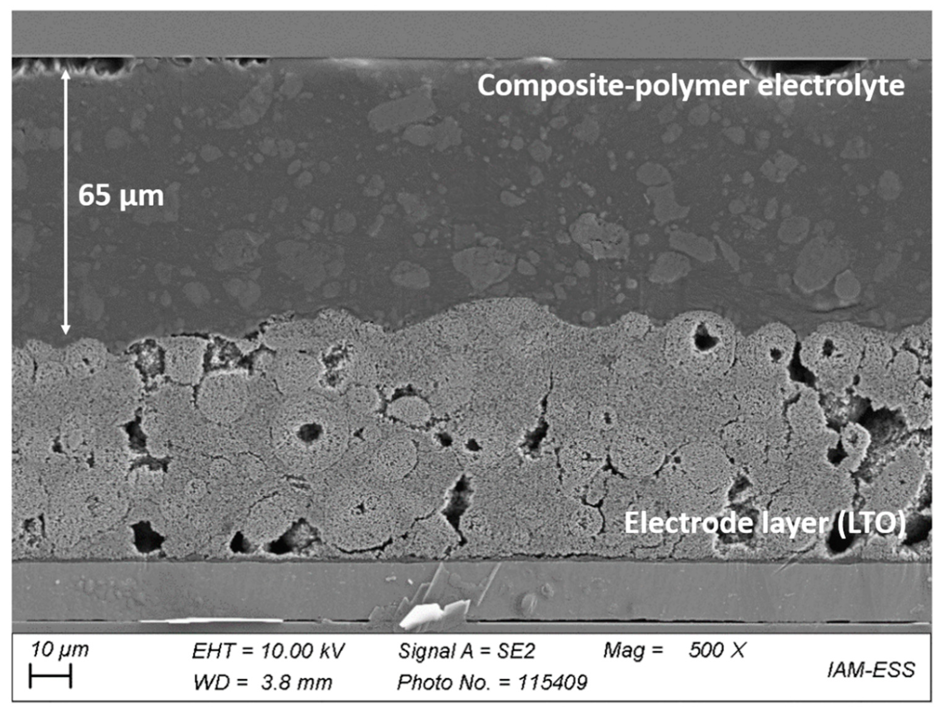 Polymers 13 04469 g006 Polymers 13 04469 g006