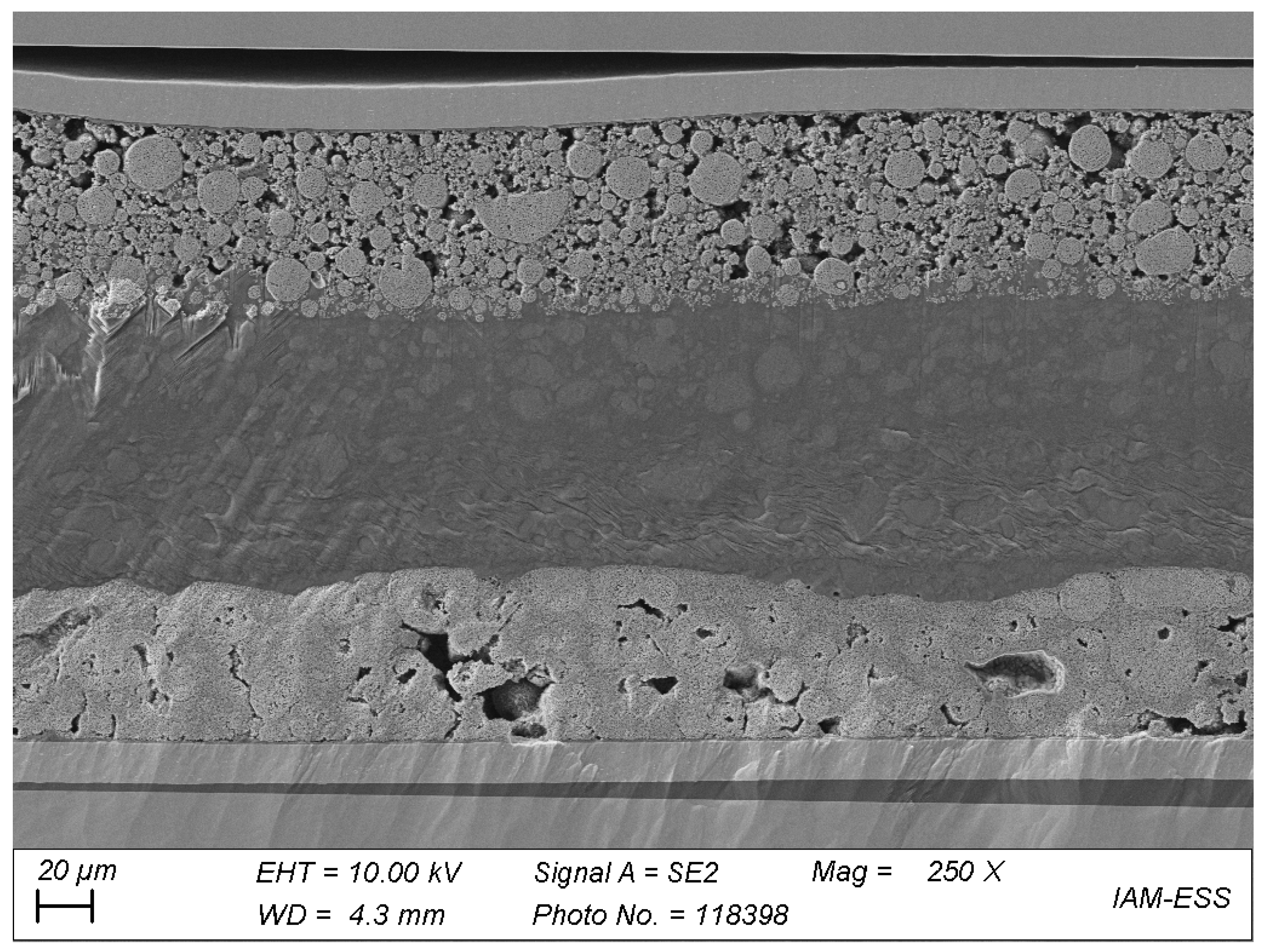 Polymers 13 04469 g011 Polymers 13 04469 g011