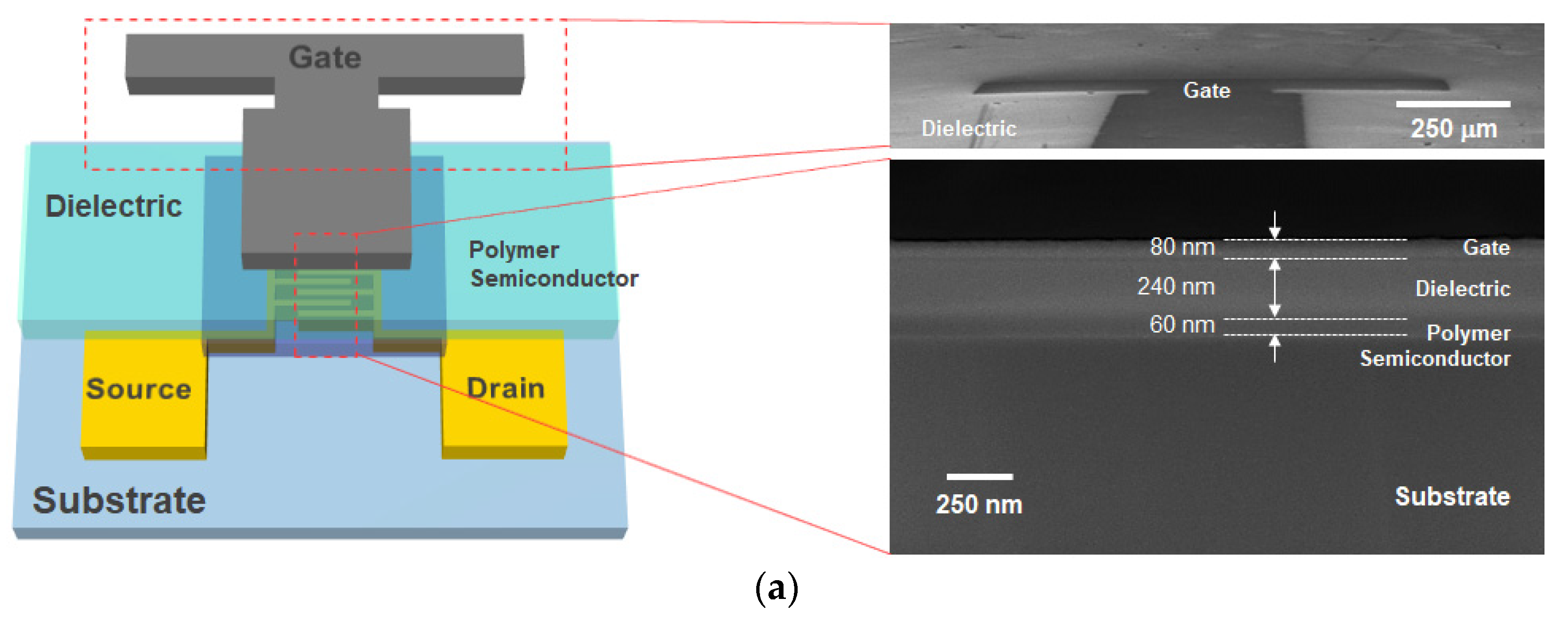 Polymers 14 00002 g001a