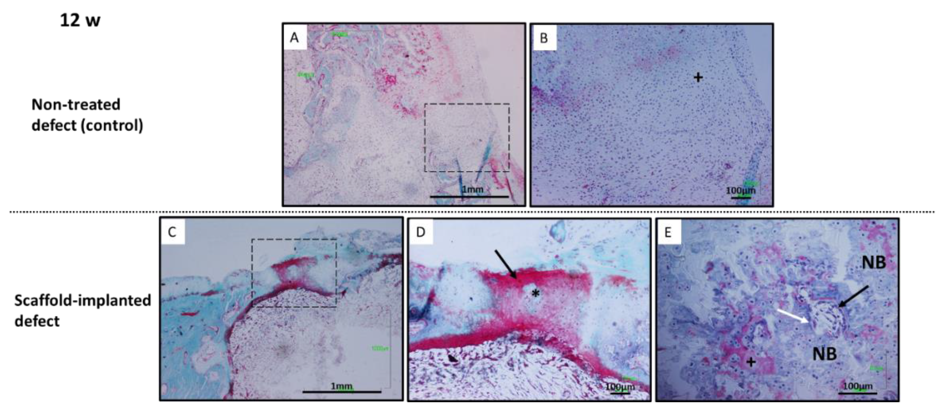Polymers 14 00012 g011