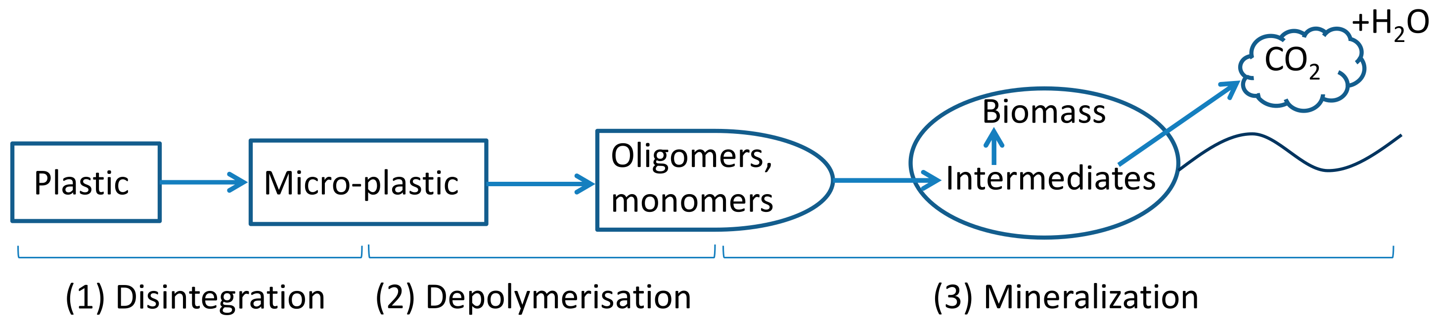 Polymers 14 00015 g001