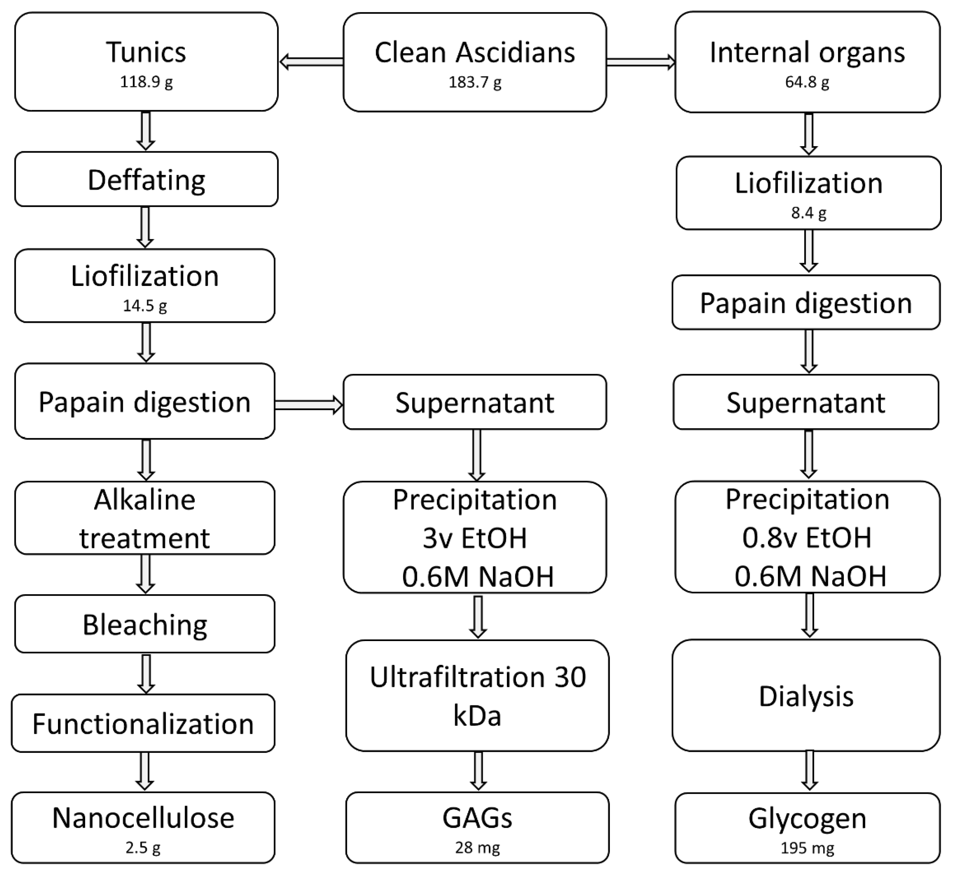 Polymers 14 00016 g001