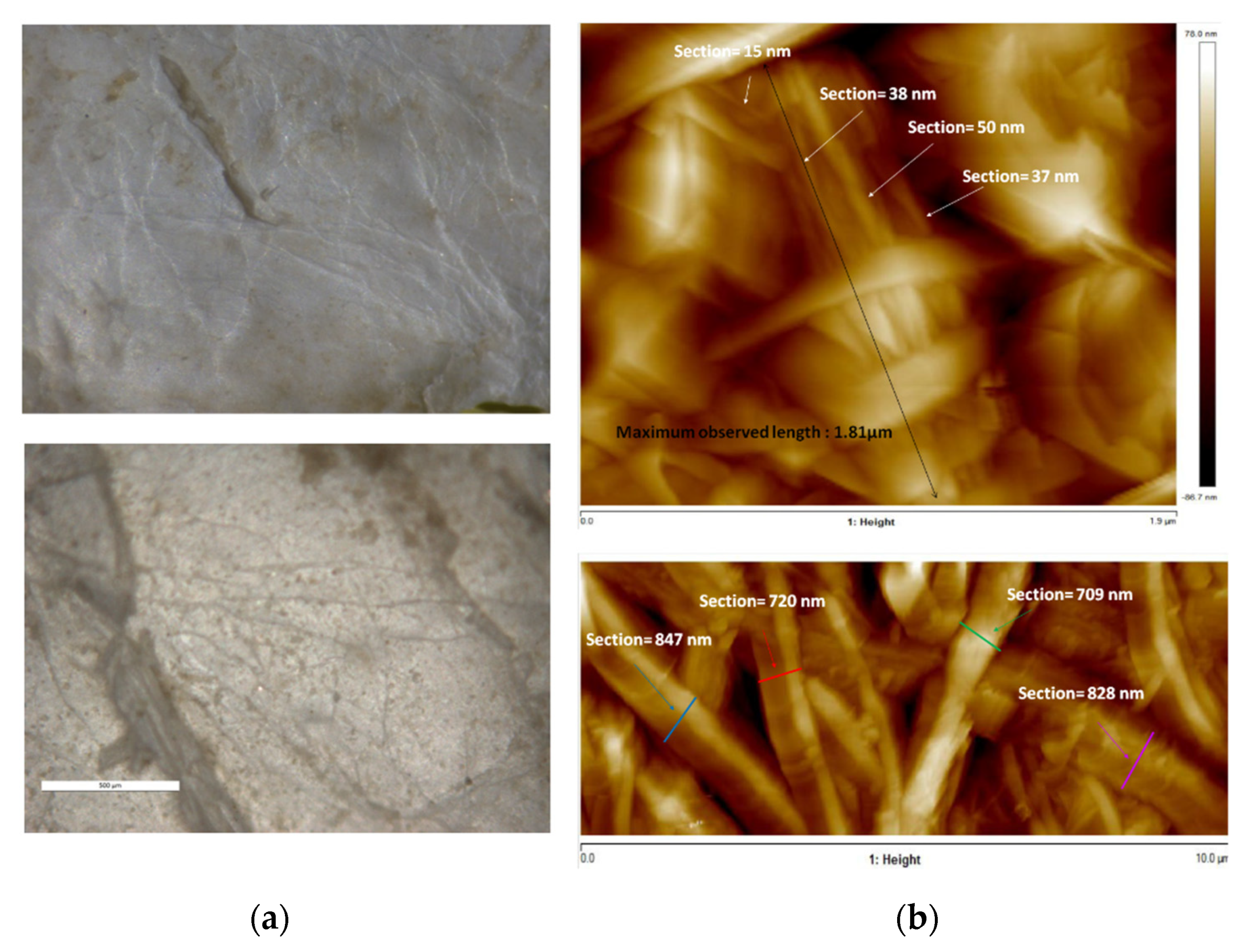 Polymers 14 00016 g002