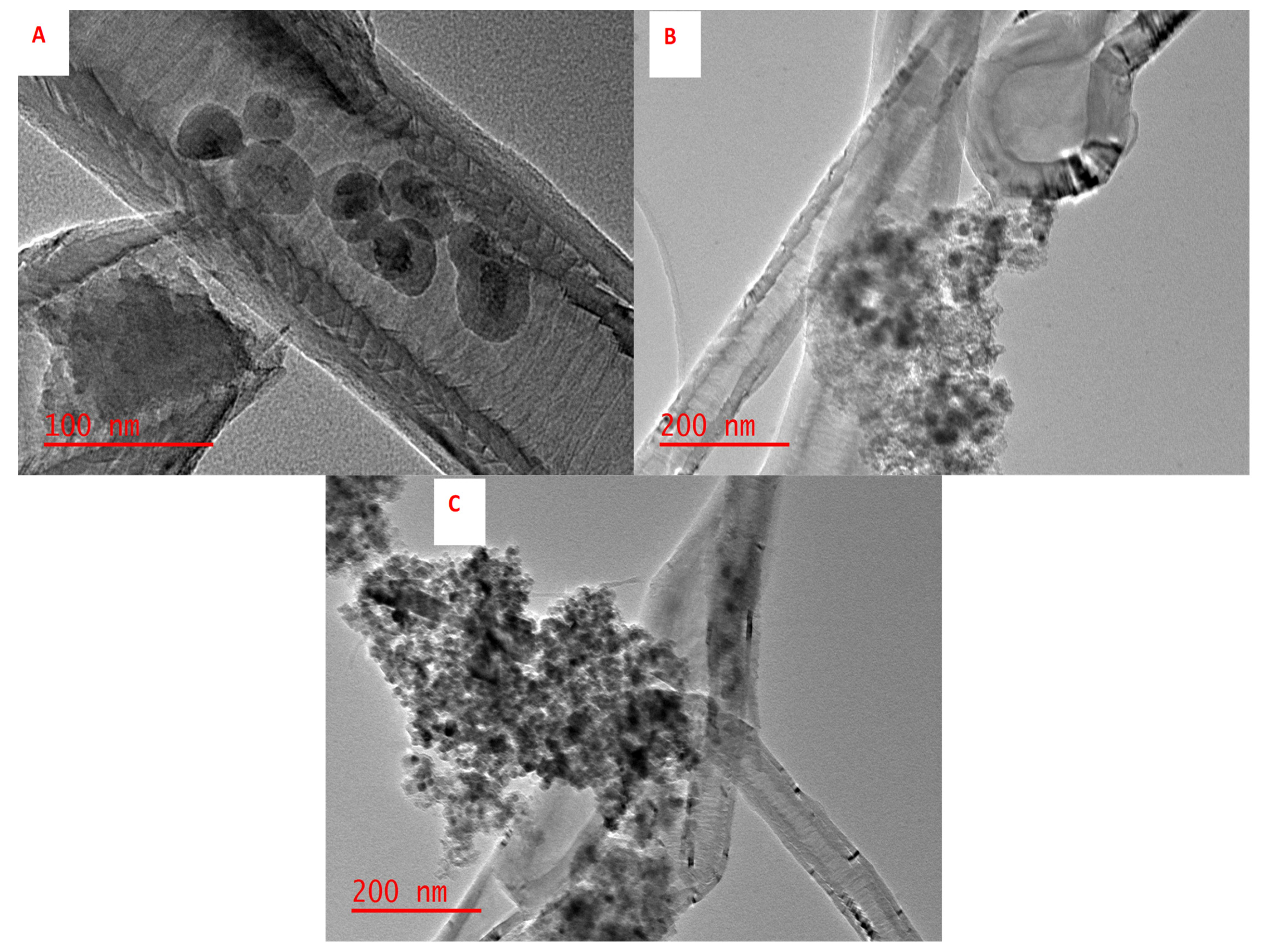 Polymers 14 00021 g004