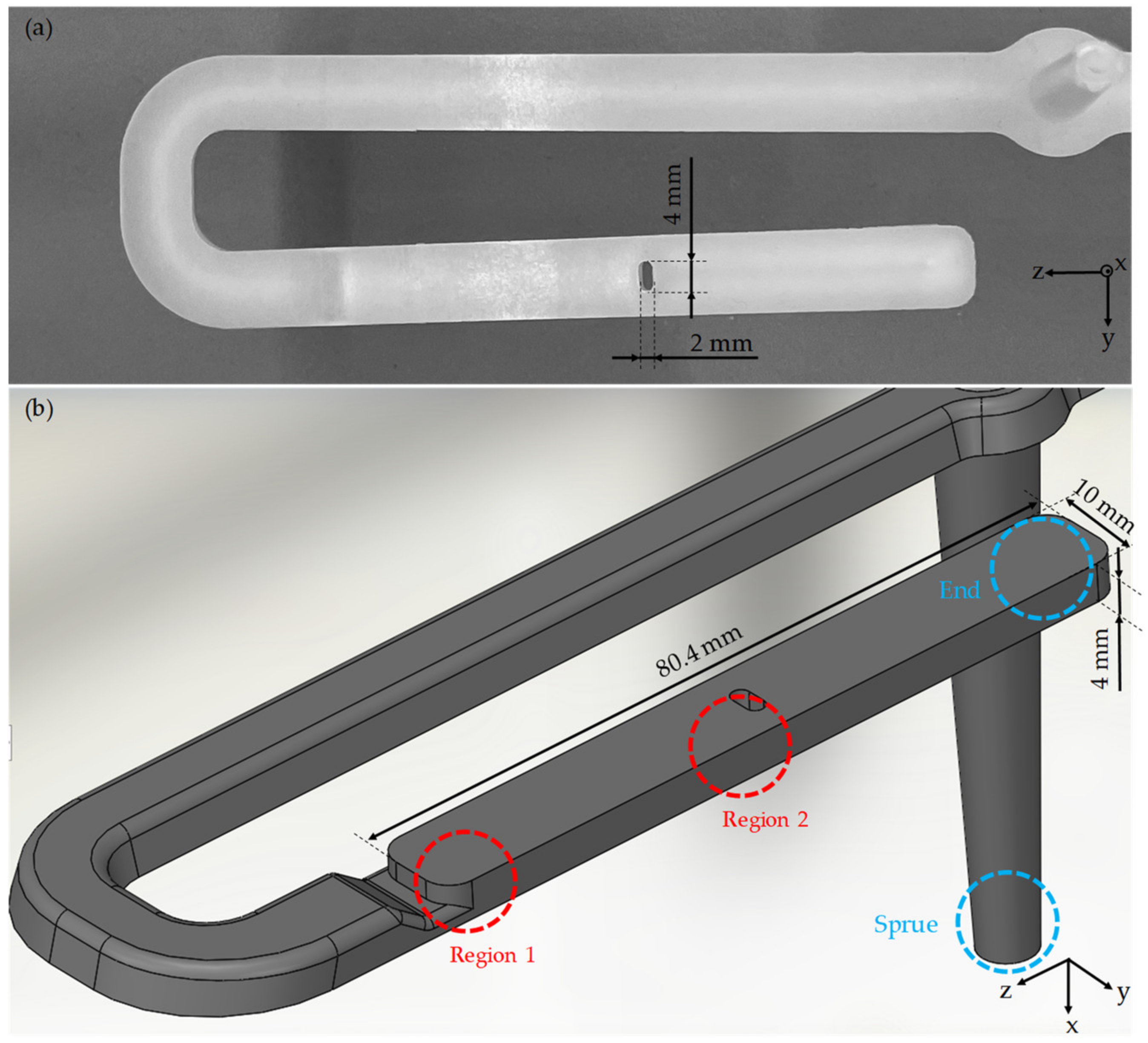 Polymers 14 00029 g002