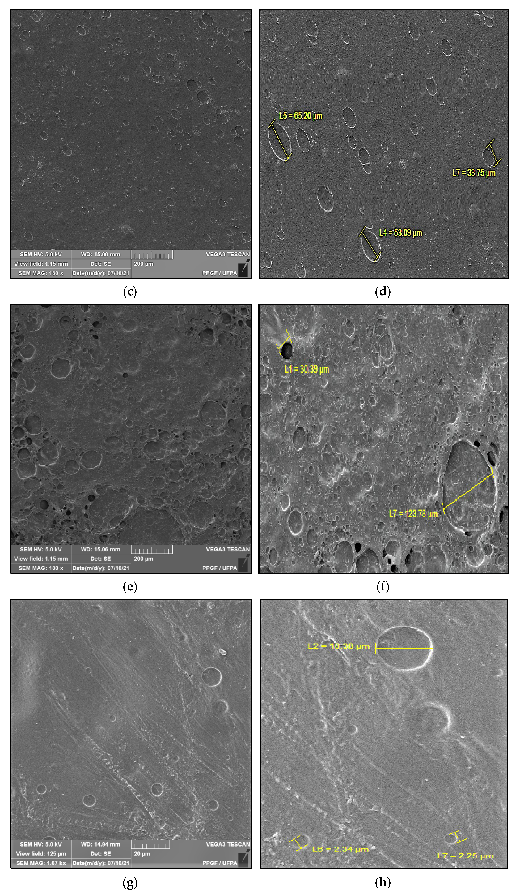 Polymers 14 00035 g002b