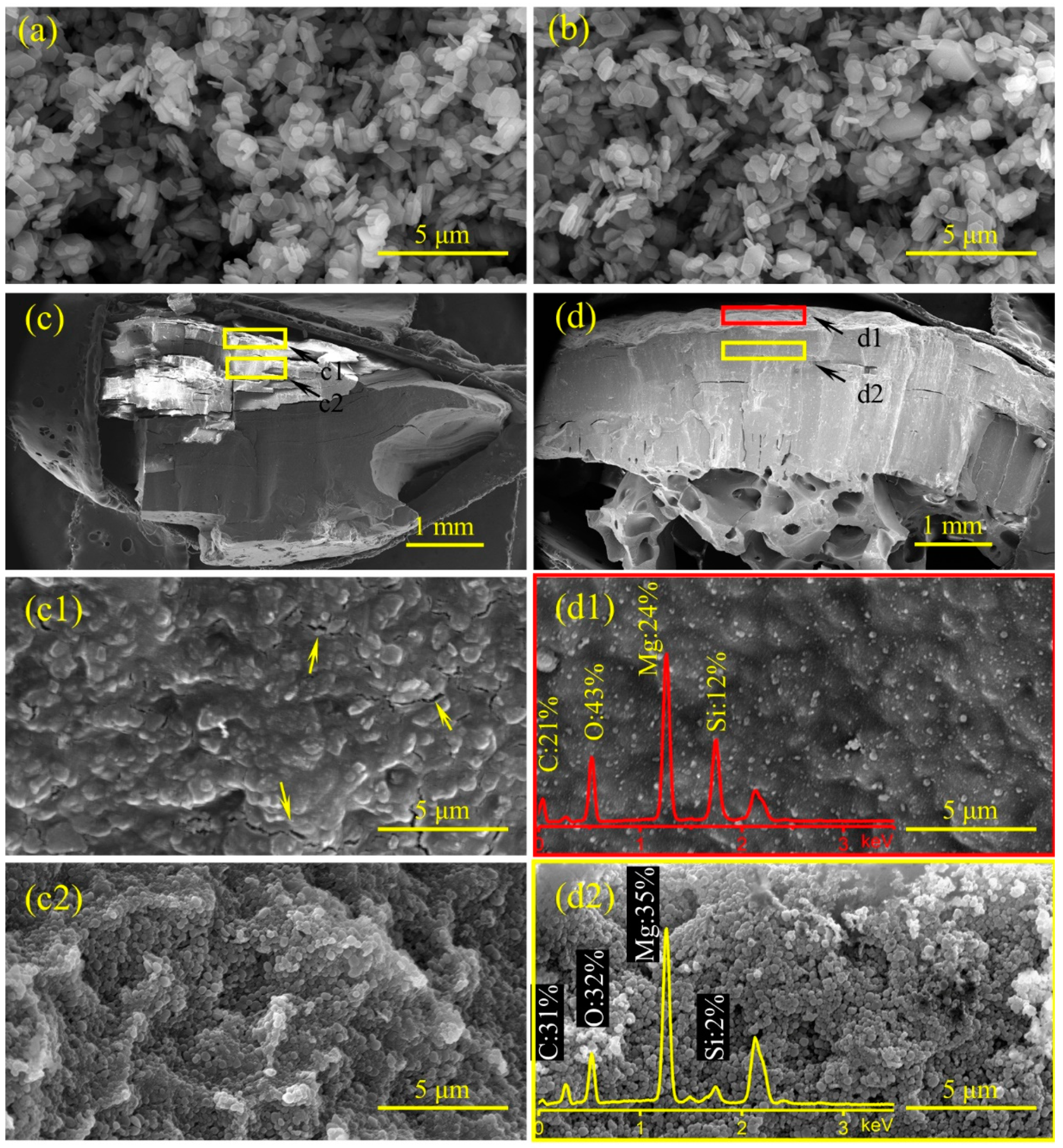 Polymers 14 00036 g009