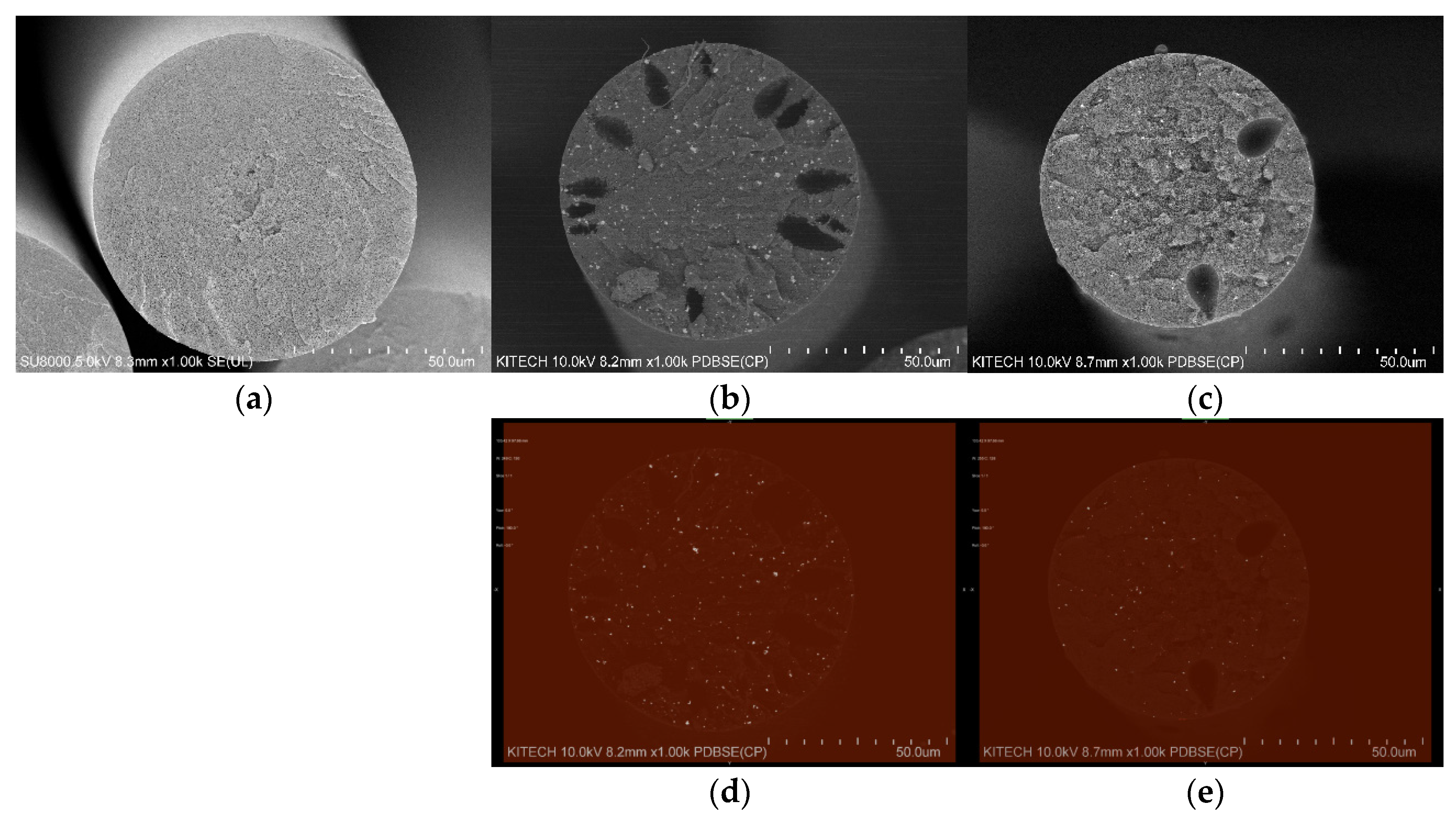 Polymers 14 00042 g006