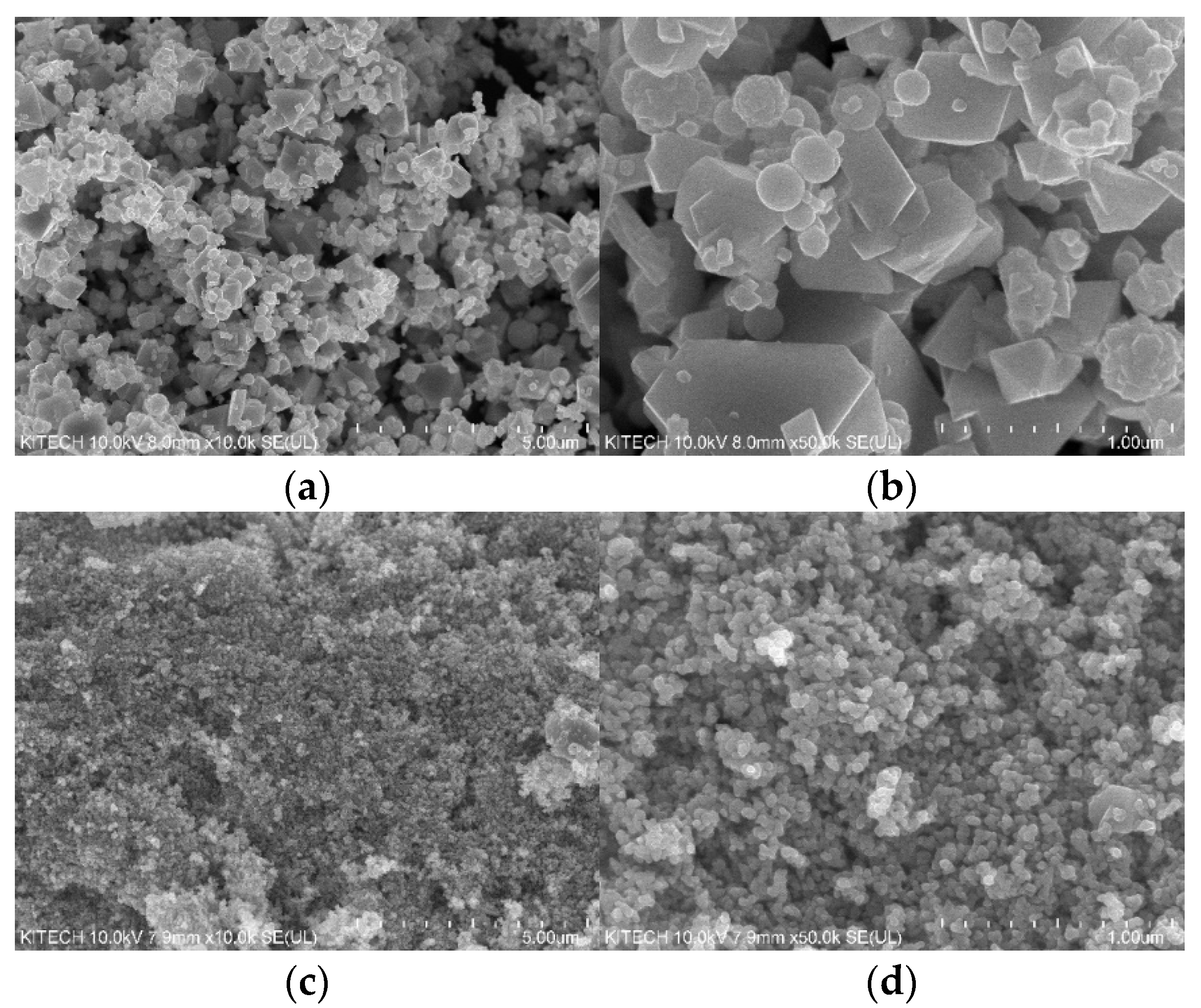 Polymers 14 00042 g007