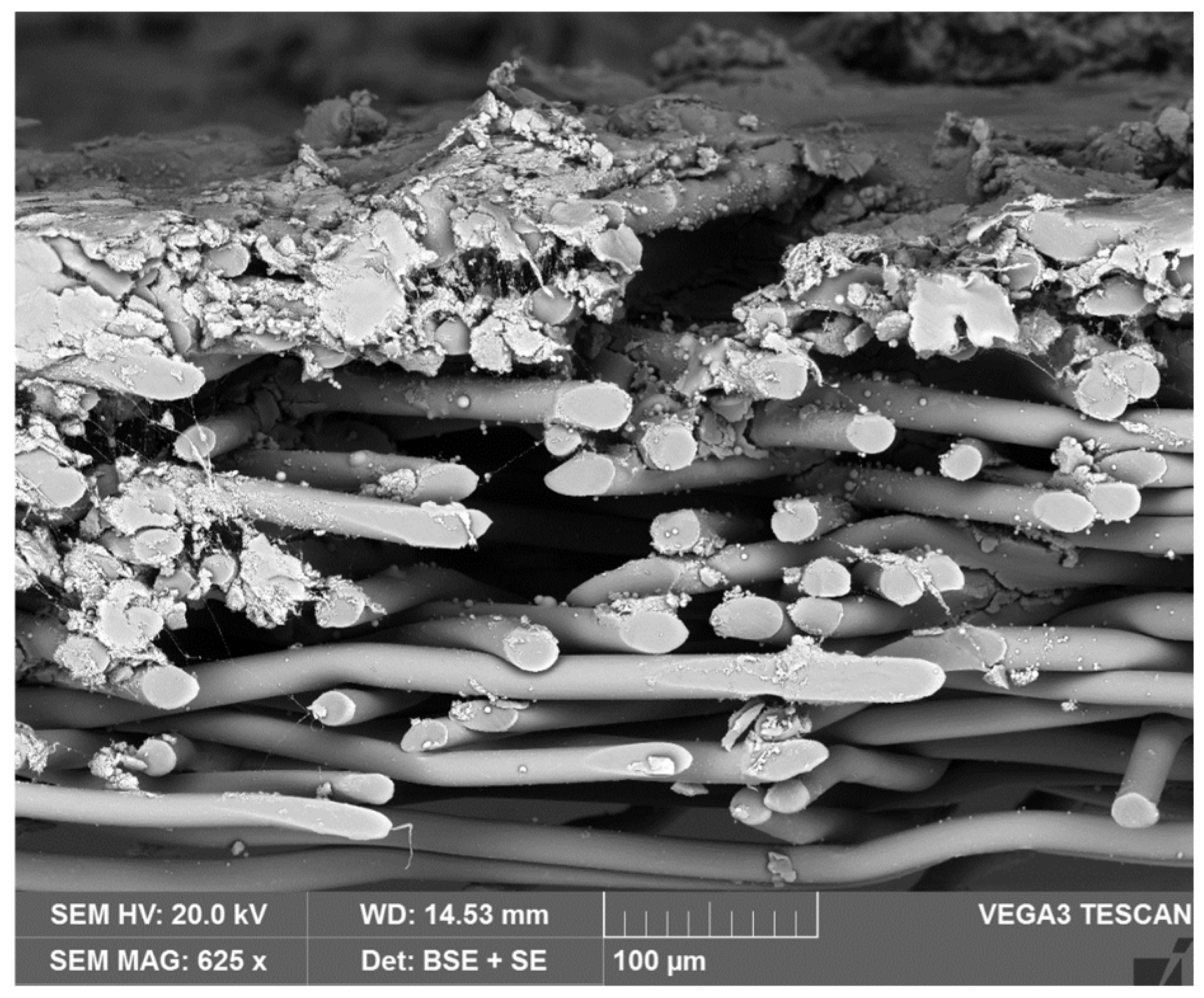 Polymers 14 00048 g003