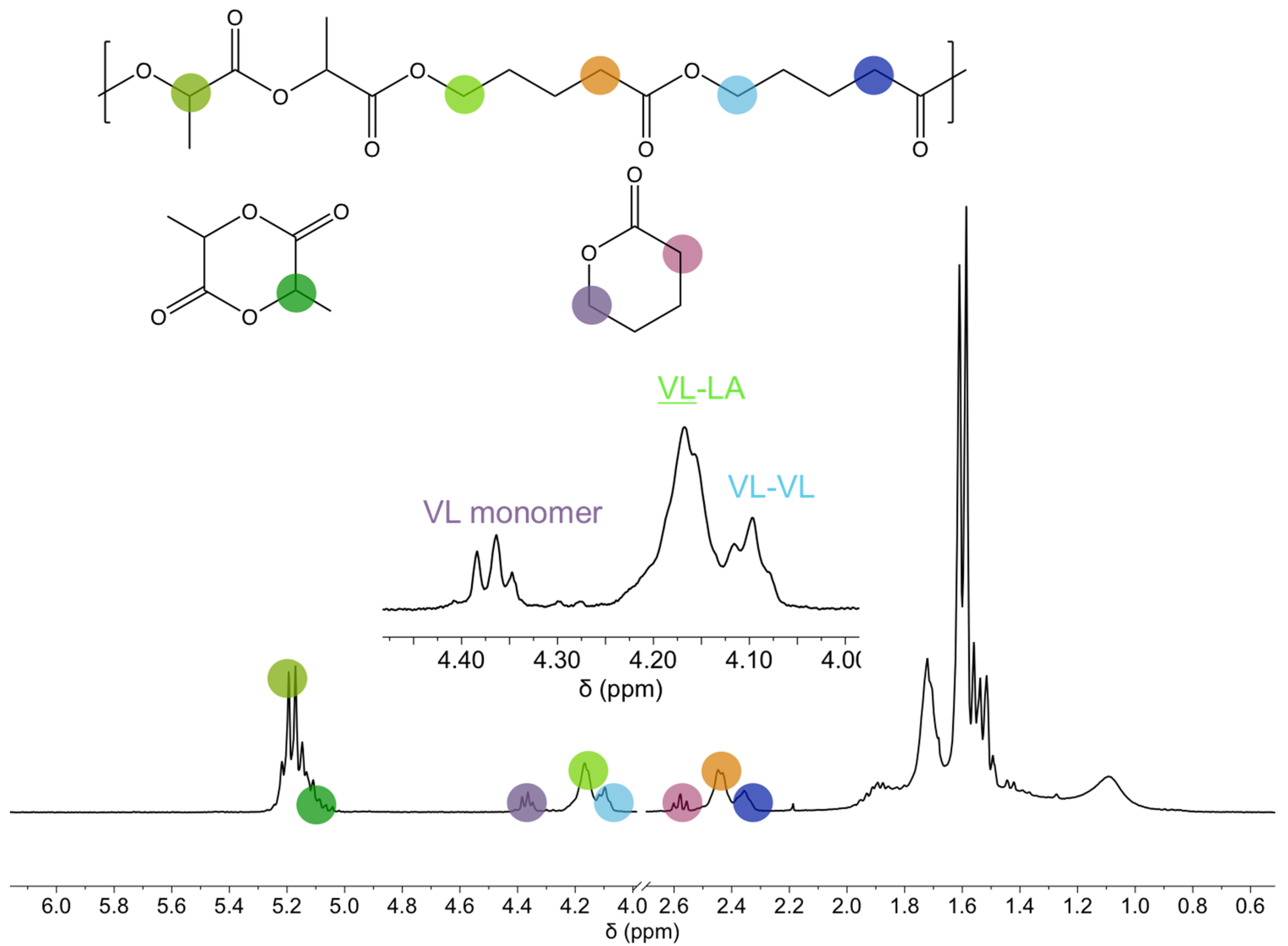Polymers 14 00052 g001