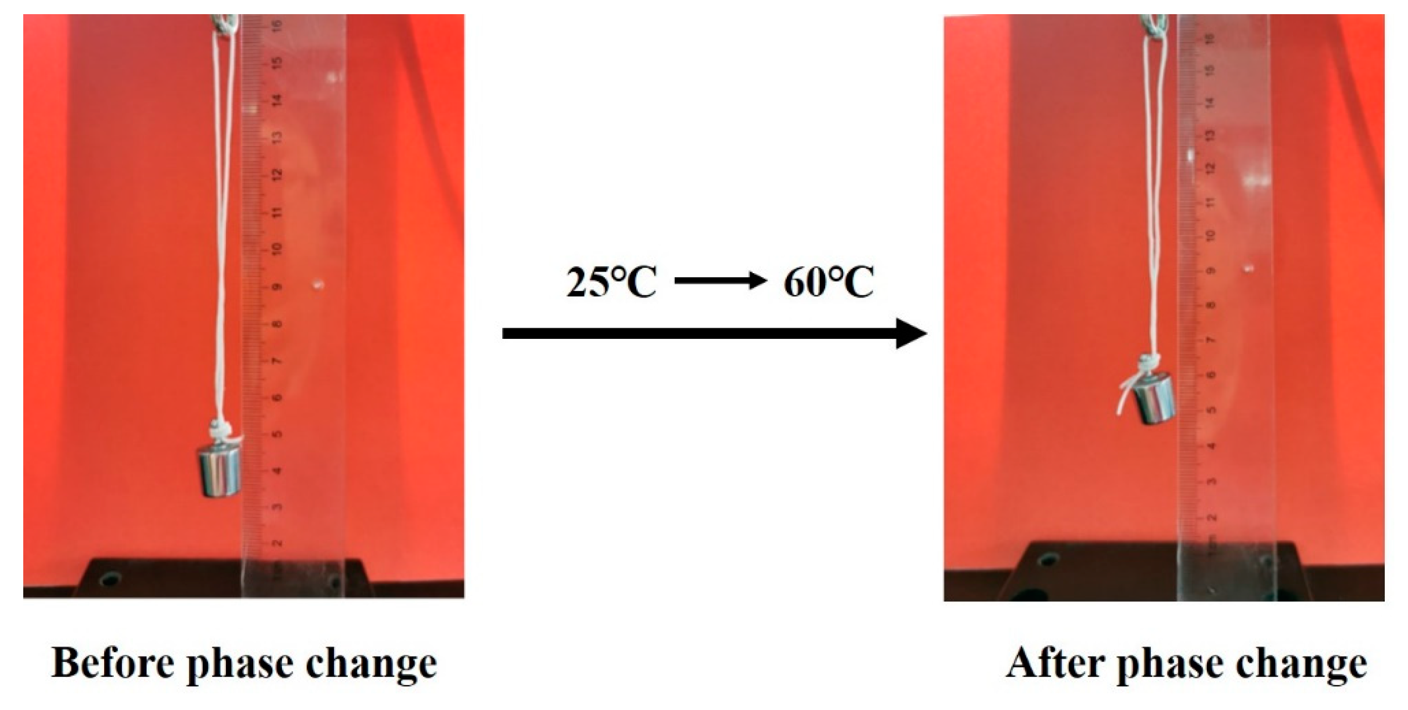 Polymers 14 00053 g014