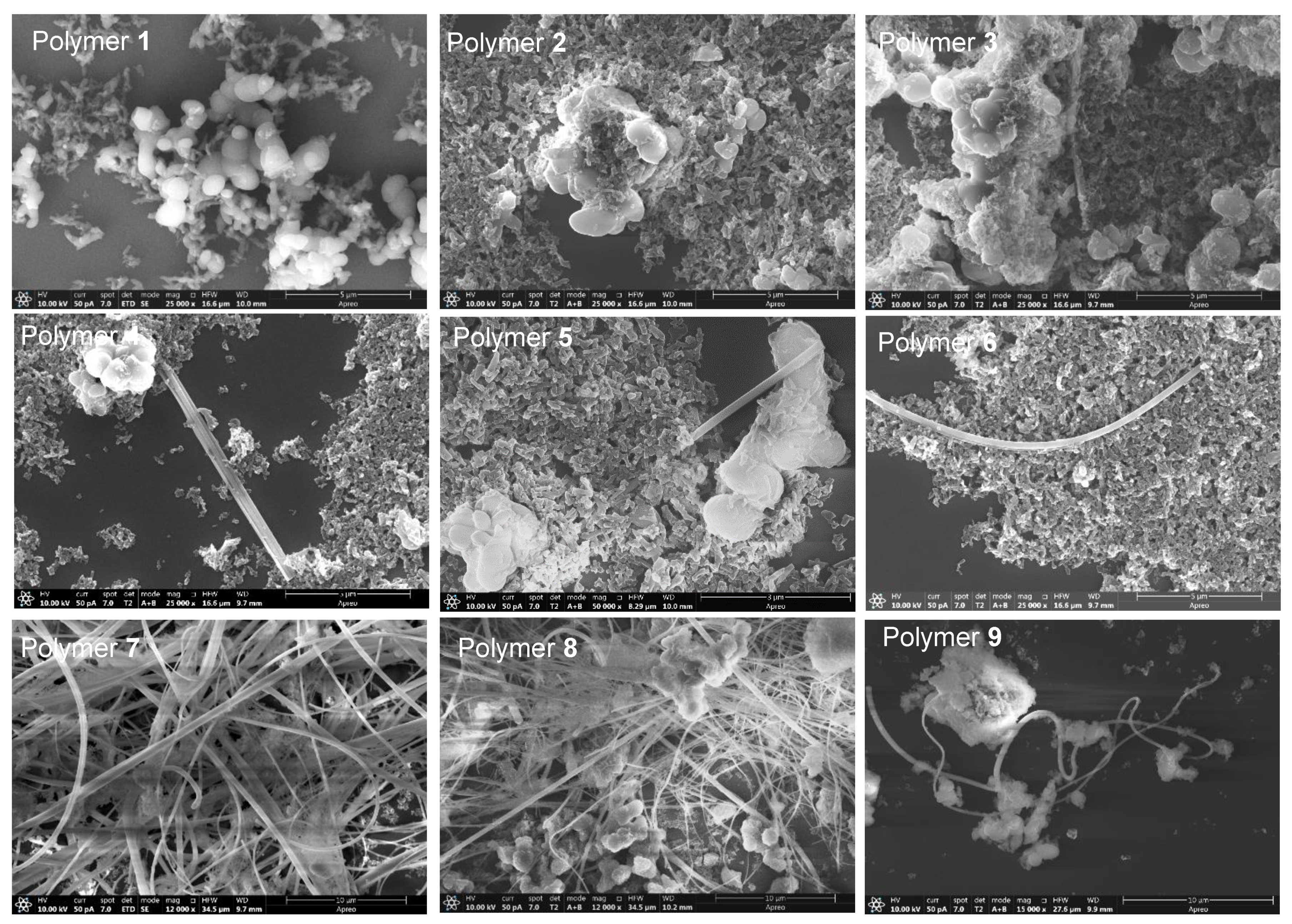 Polymers 14 00057 g007