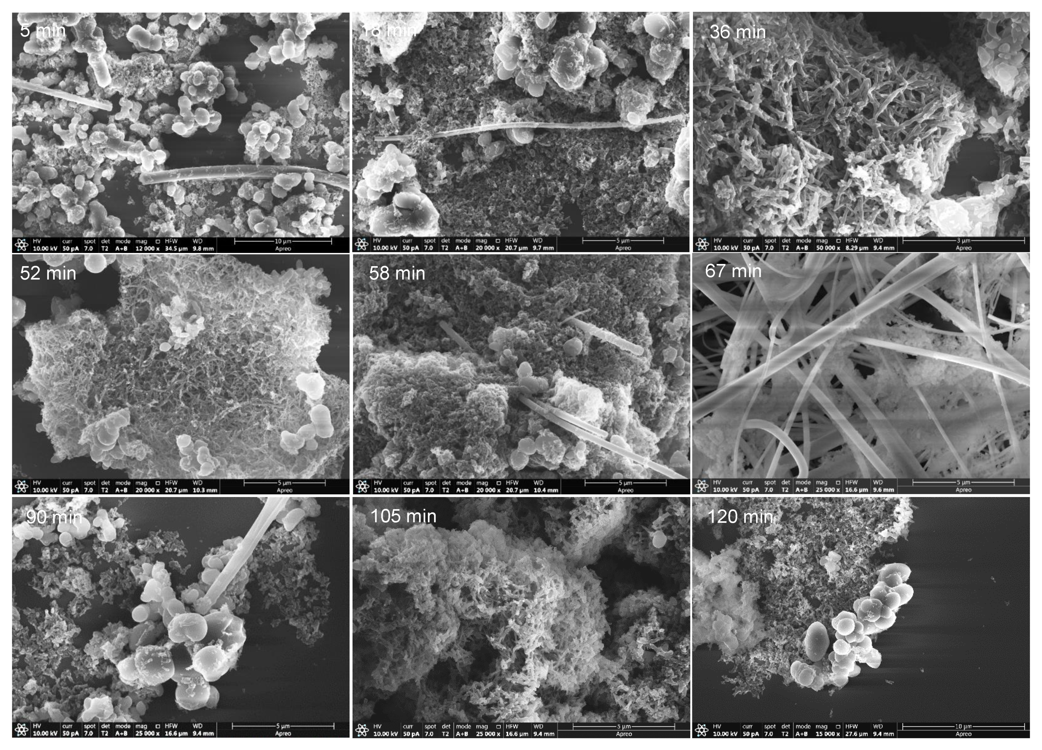 Polymers 14 00057 g010