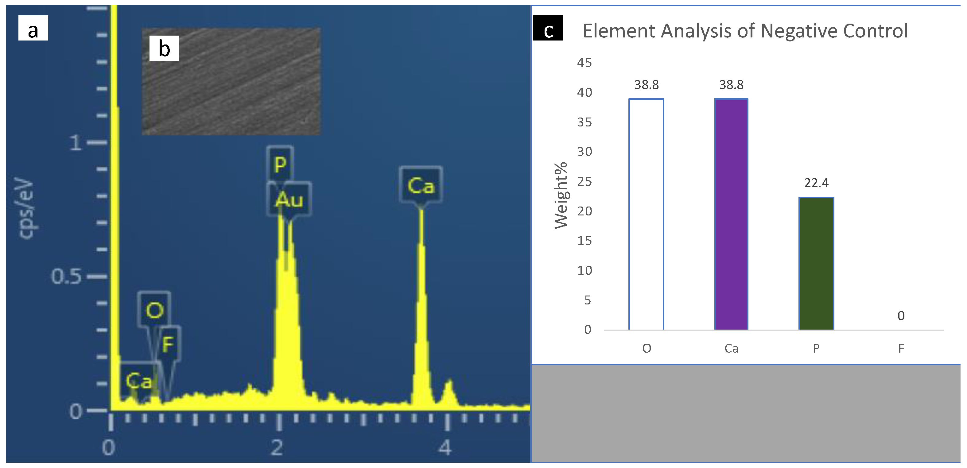 Polymers 14 00061 g004 Polymers 14 00061 g004