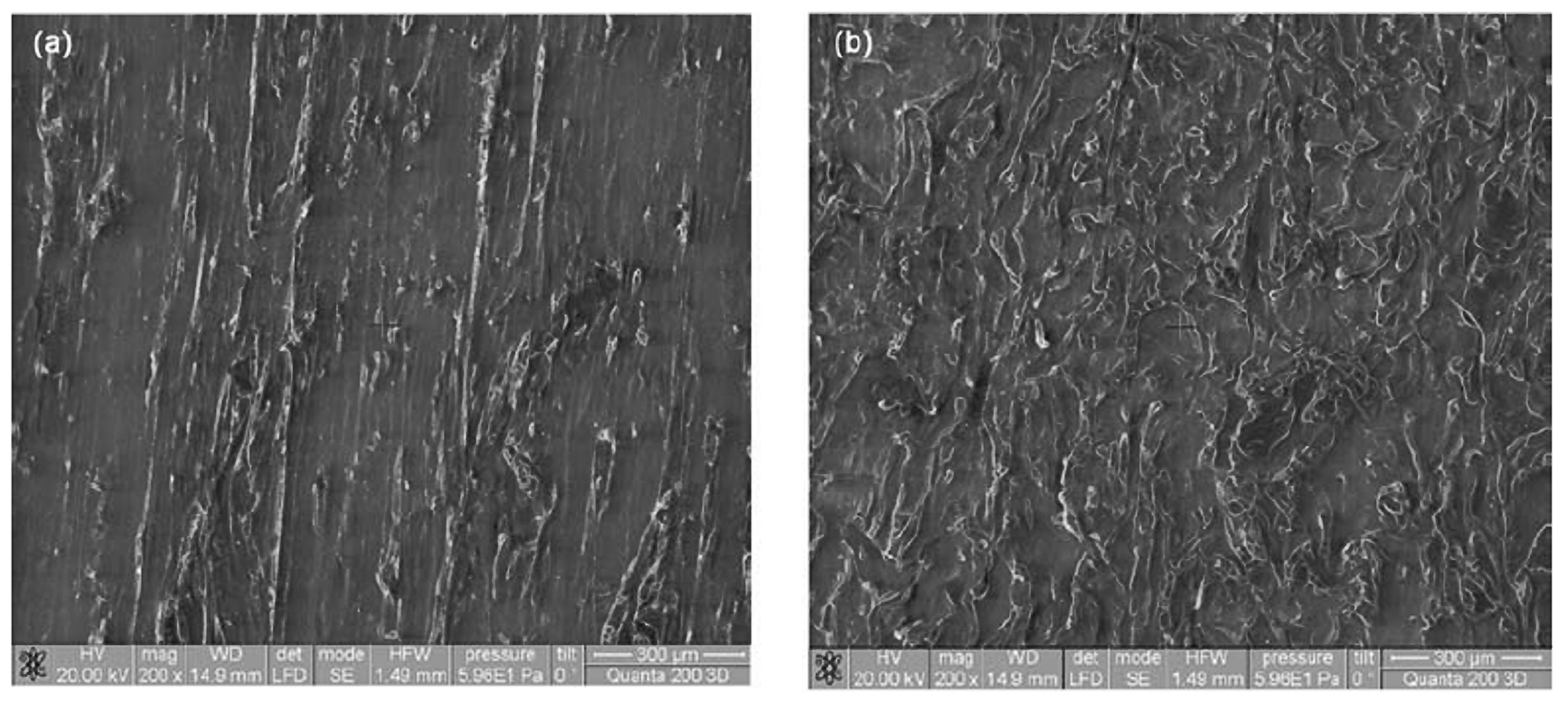 Polymers 14 00064 g001 Polymers 14 00064 g001
