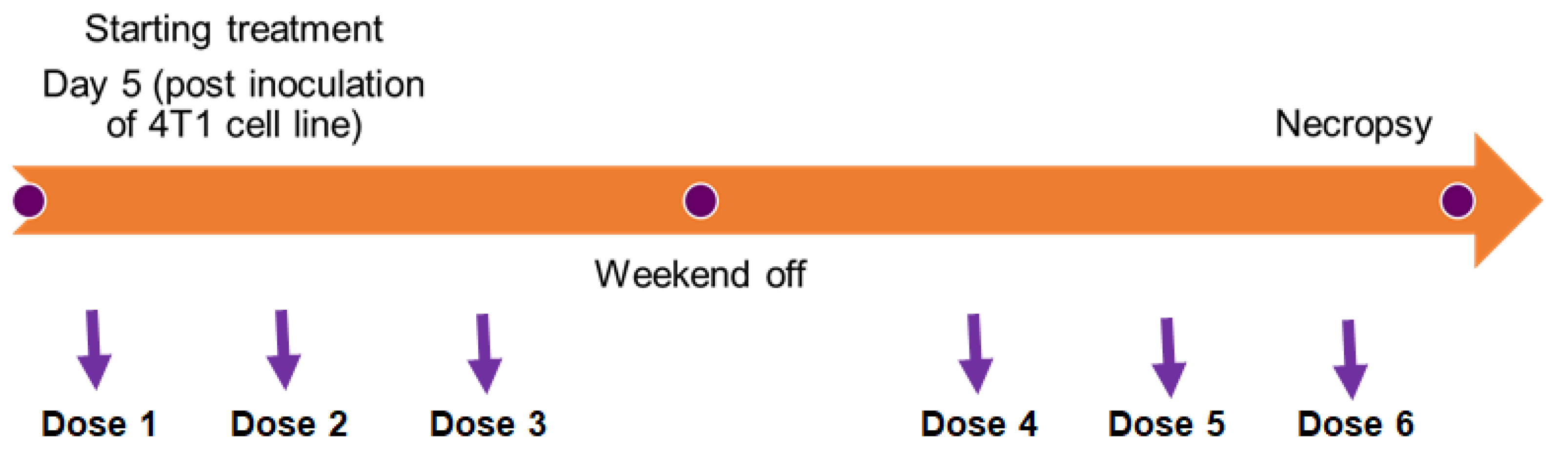 Polymers 14 00071 g001