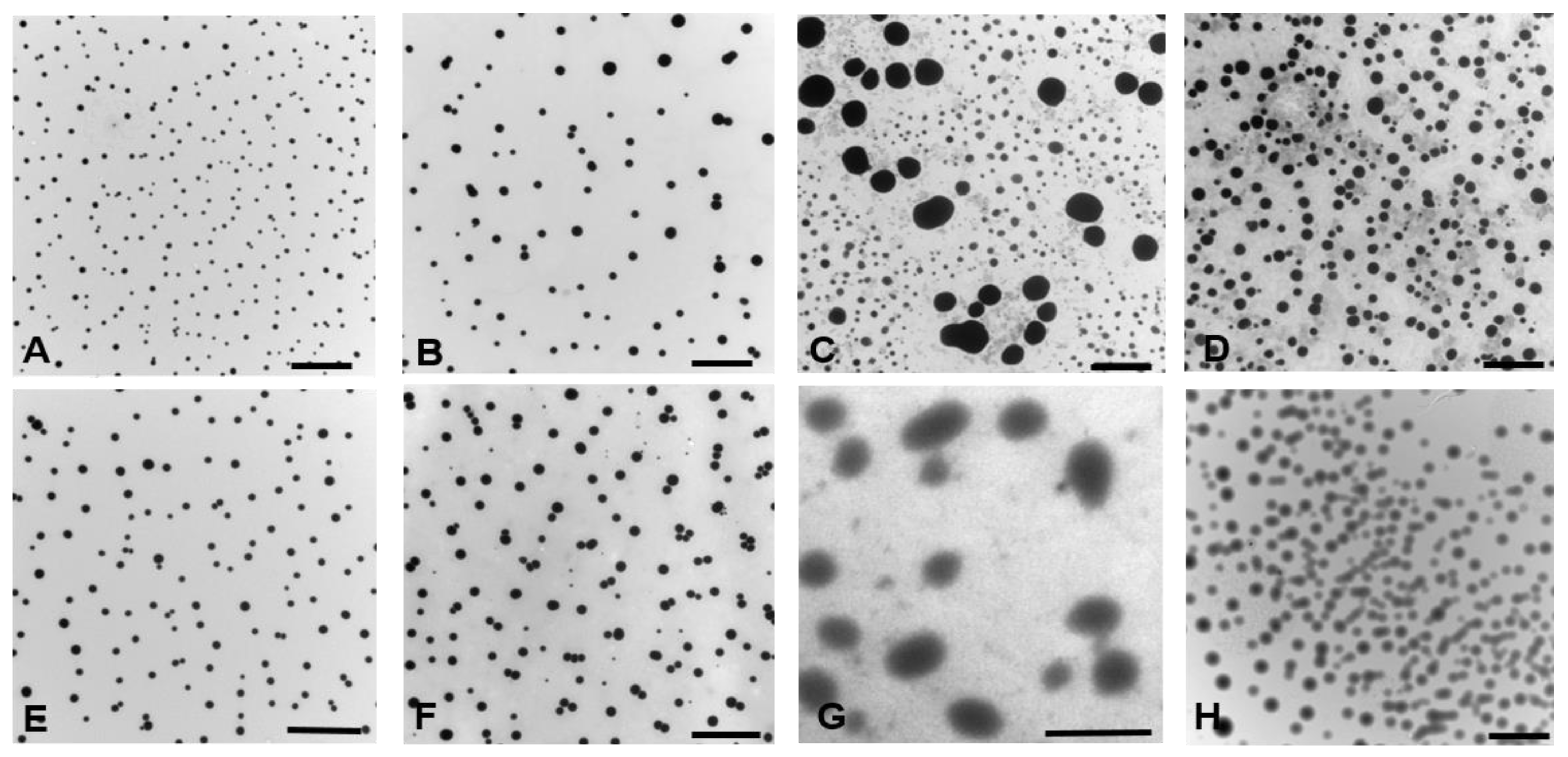 Polymers 14 00071 g002