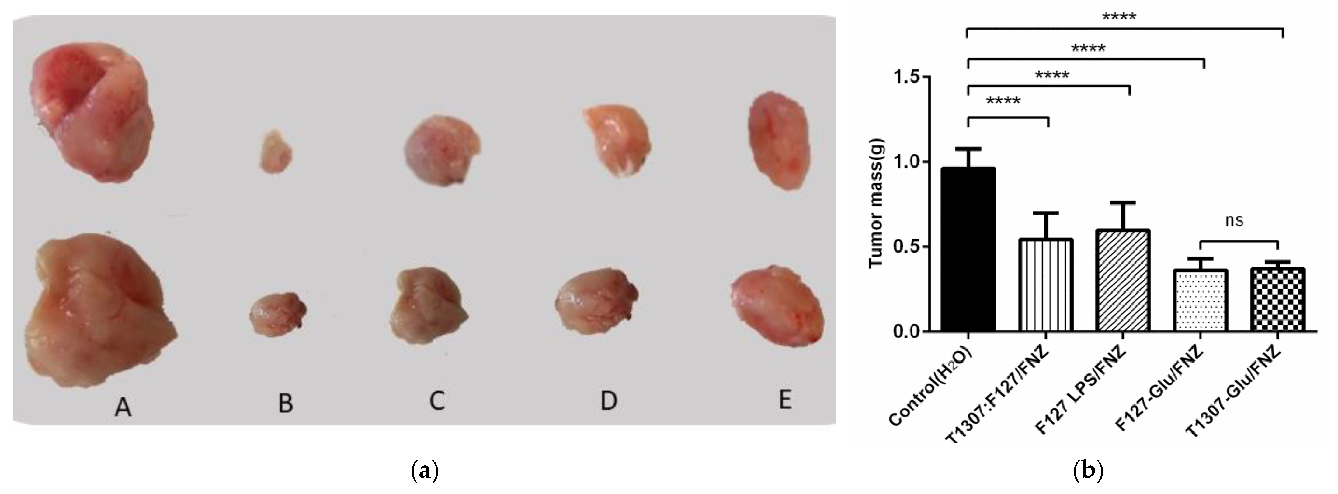 Polymers 14 00071 g005