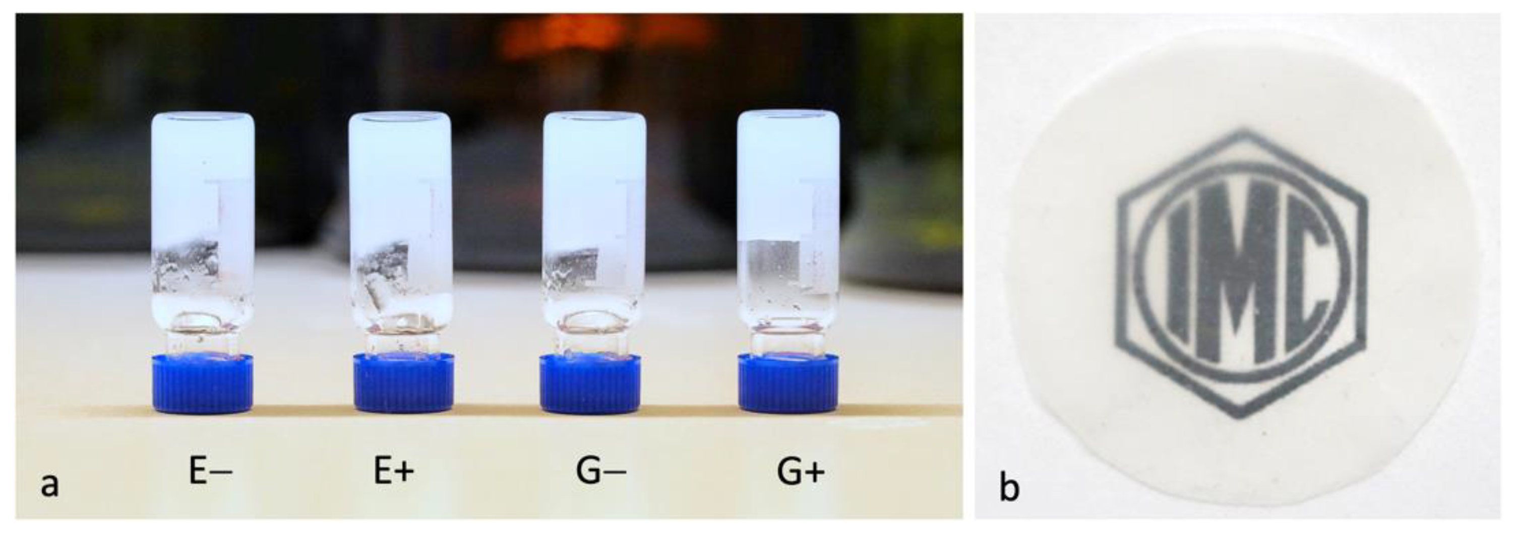 Polymers 14 00078 g002