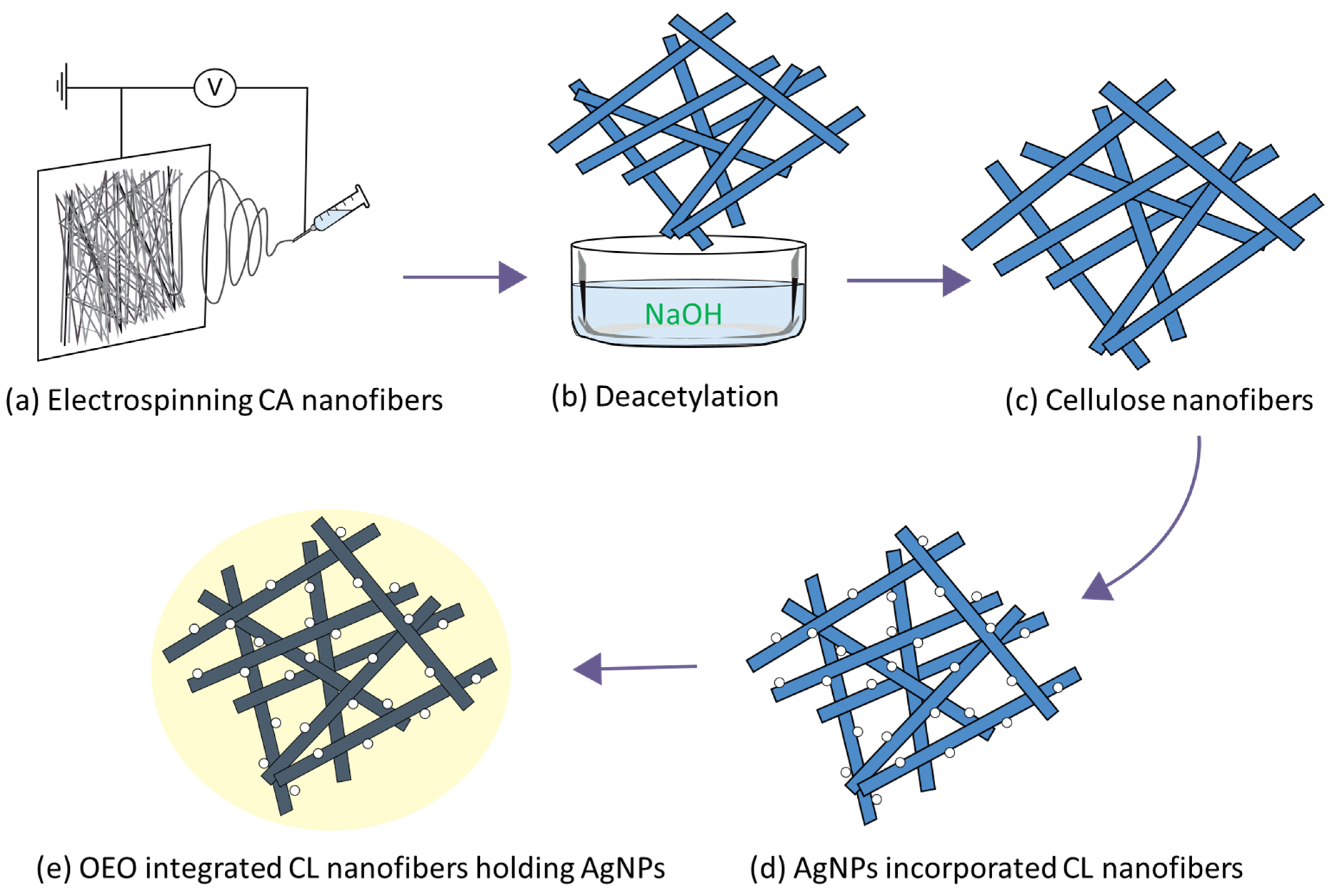 Polymers 14 00085 sch001