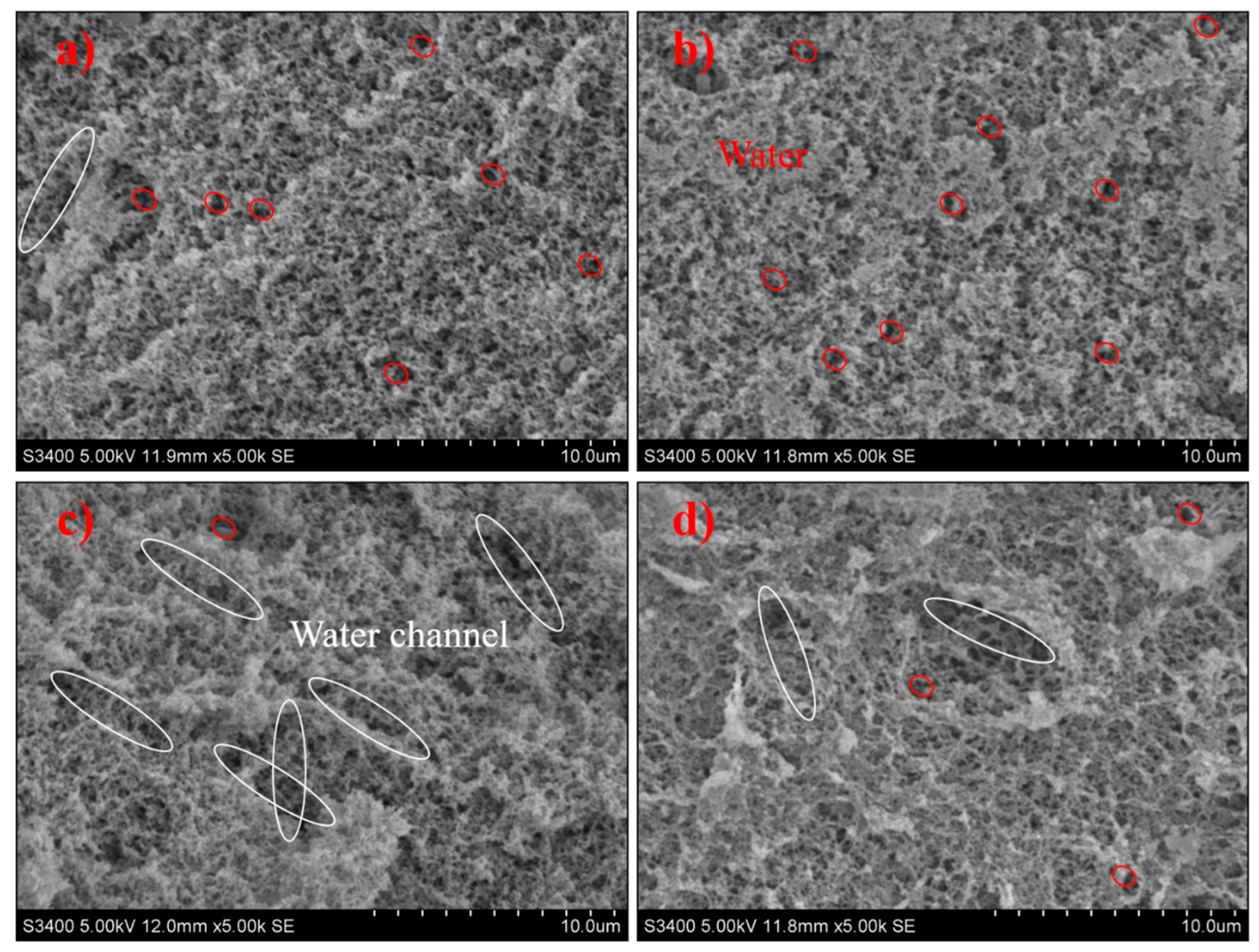 Polymers 14 00090 g004