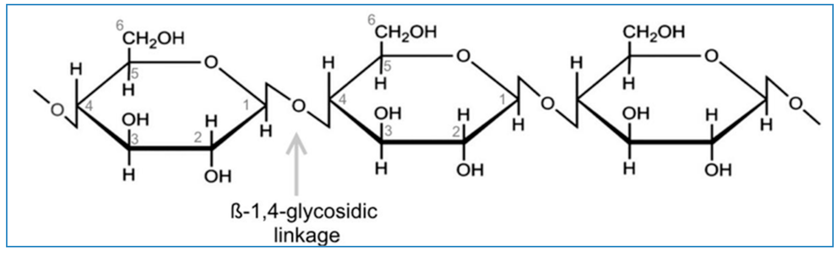 Polymers 14 00092 g001