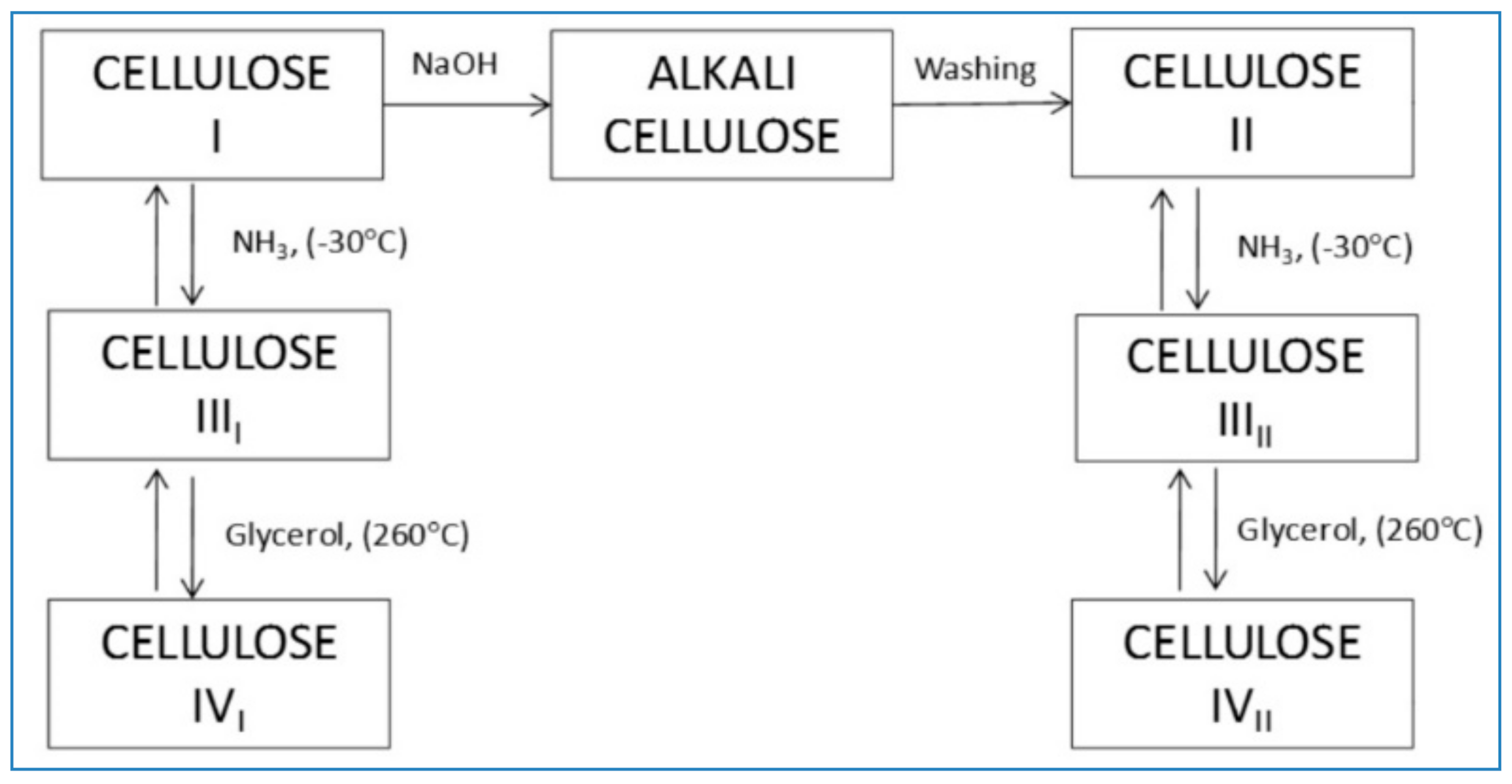 Polymers 14 00092 g002