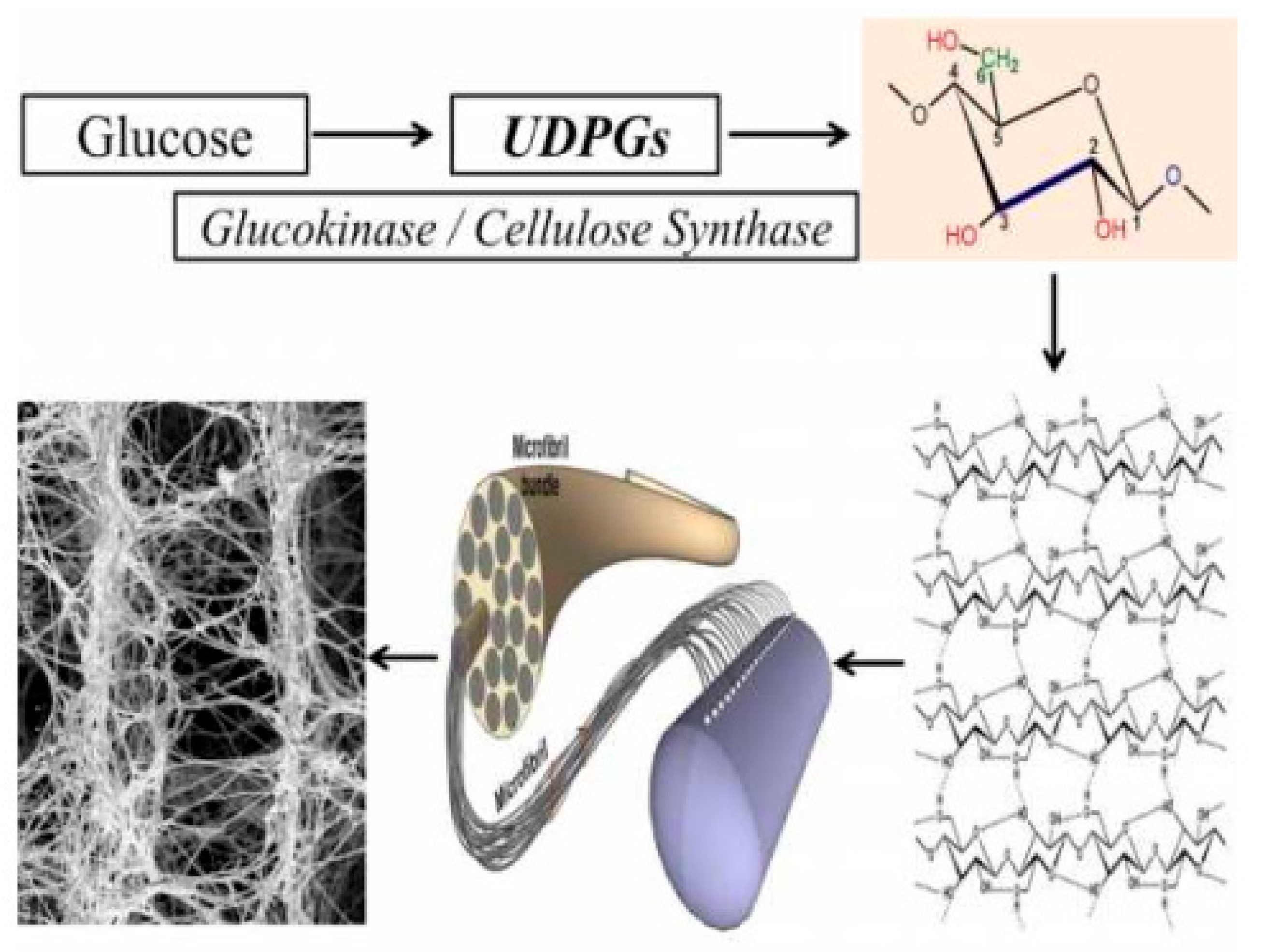 Polymers 14 00092 g004