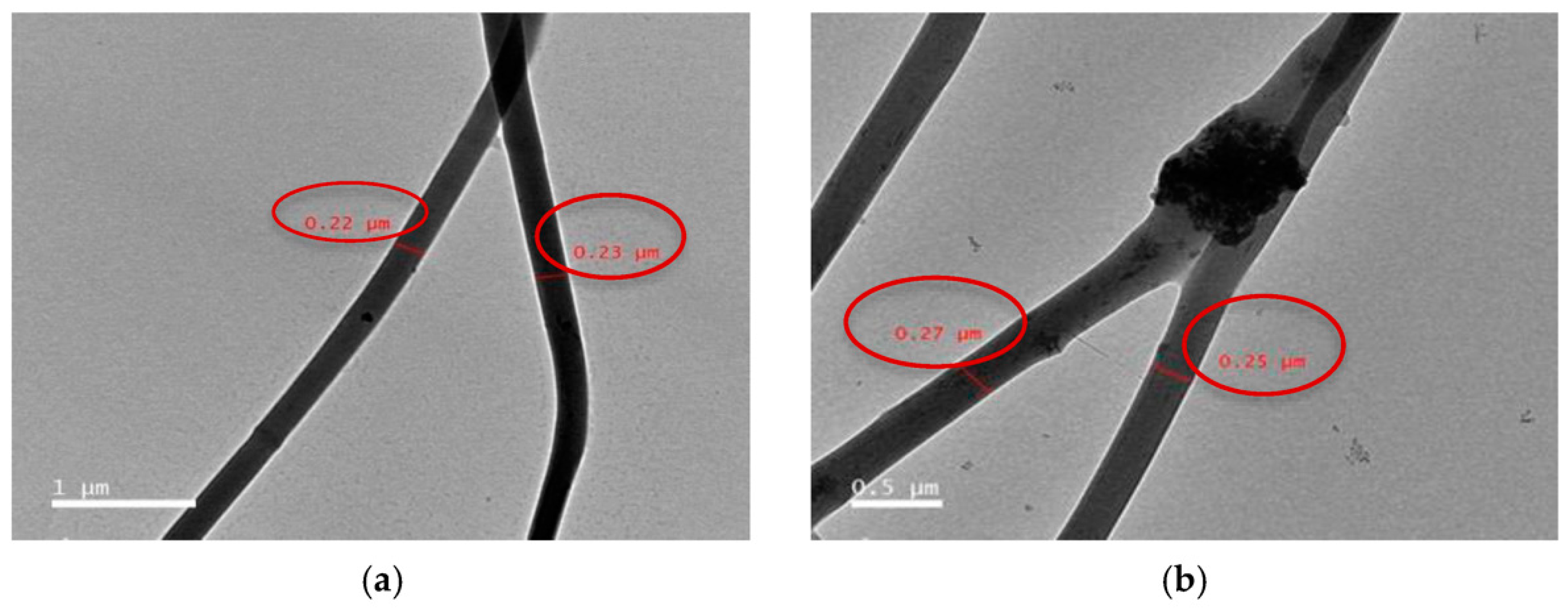 Polymers 14 00096 g002
