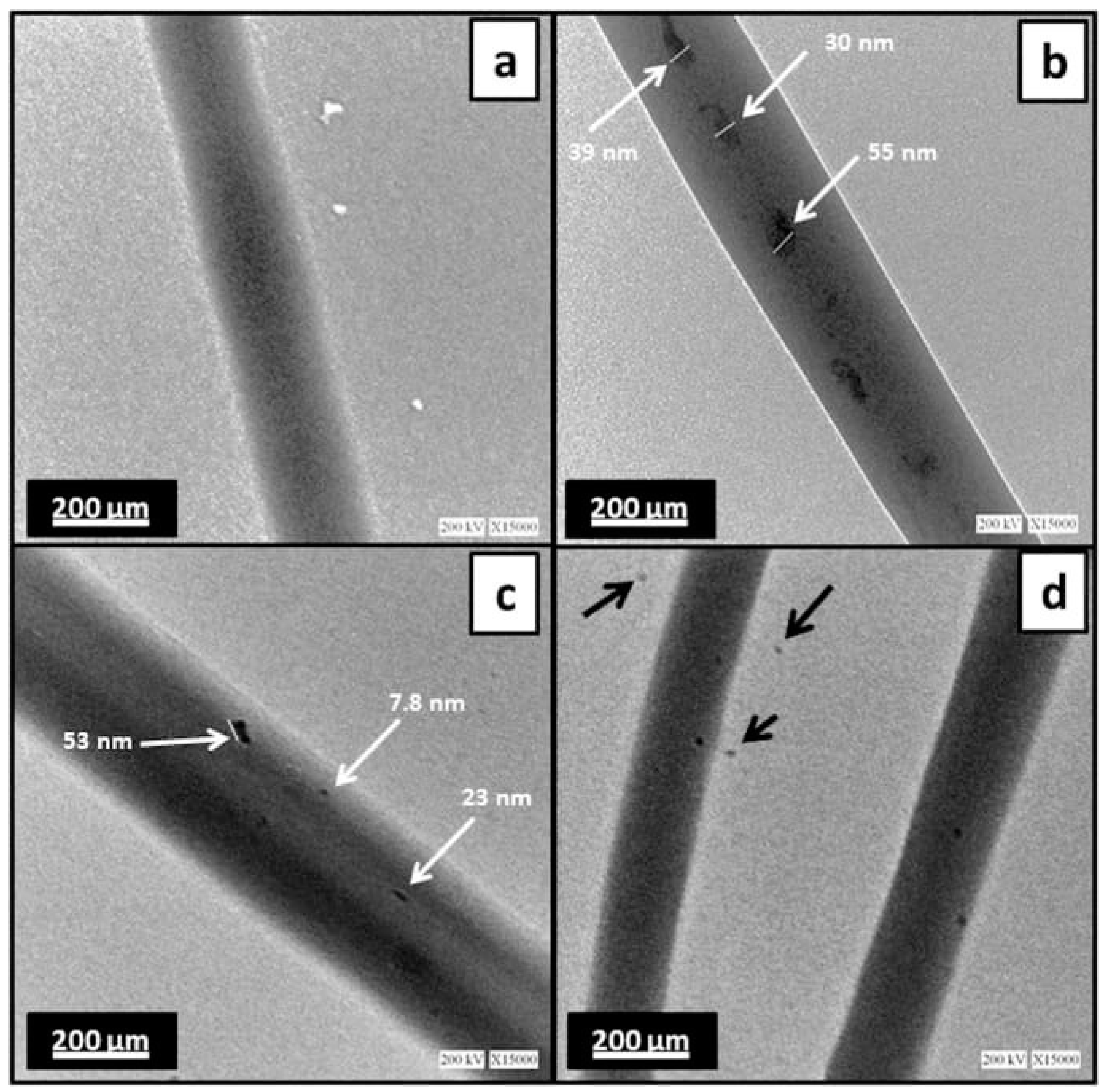 Polymers 14 00096 g003