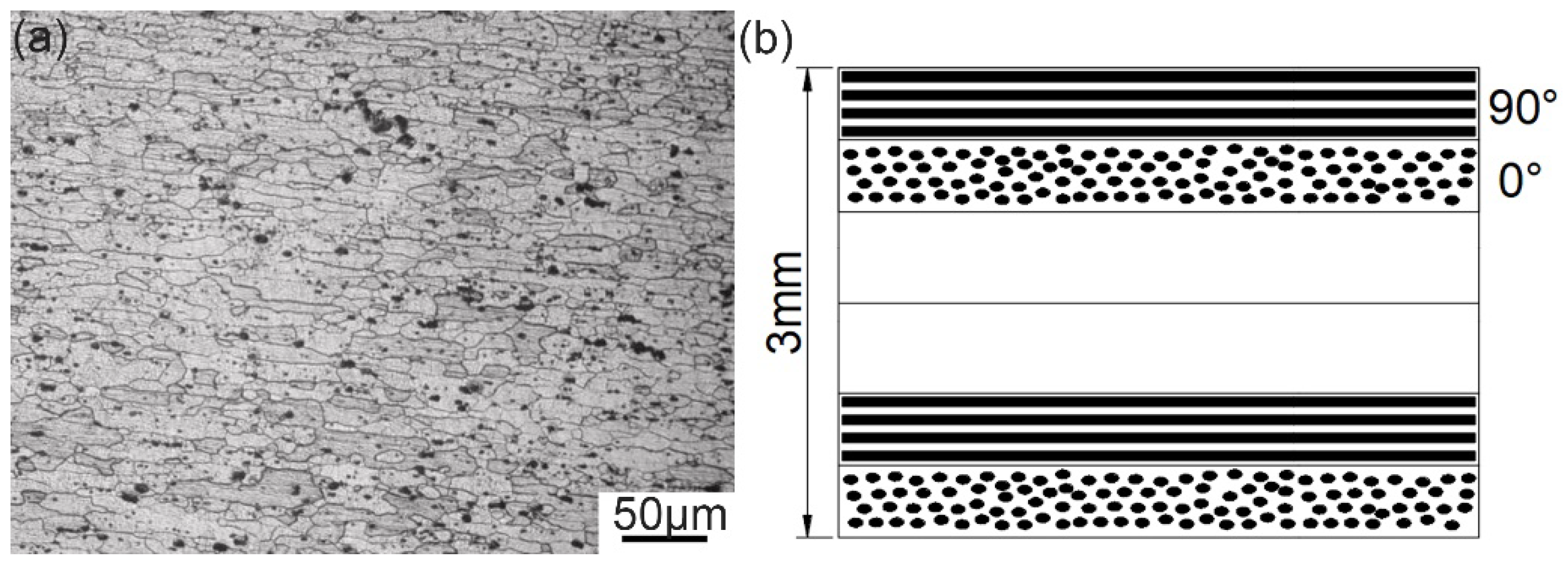 Polymers 14 00099 g001