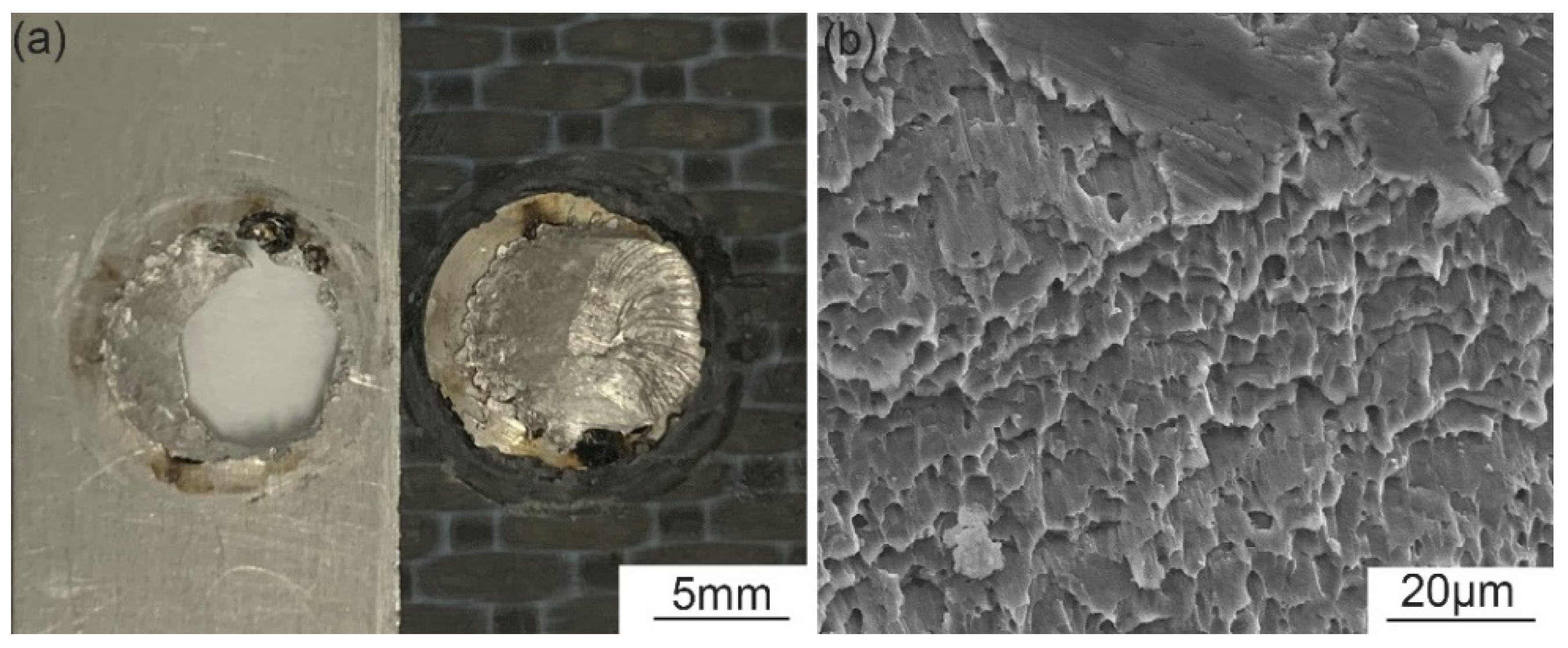 Polymers 14 00099 g009