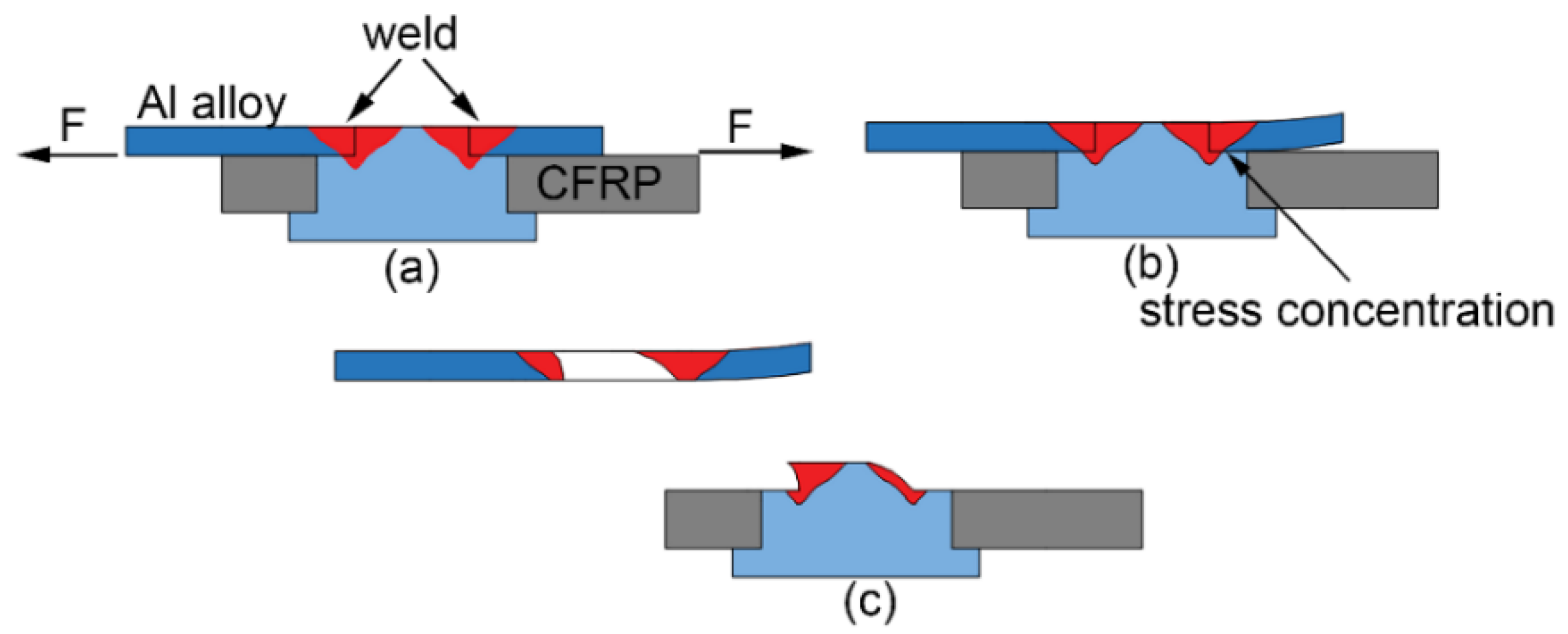 Polymers 14 00099 g010