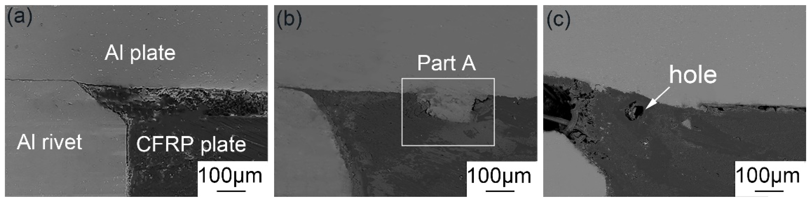 Polymers 14 00099 g011