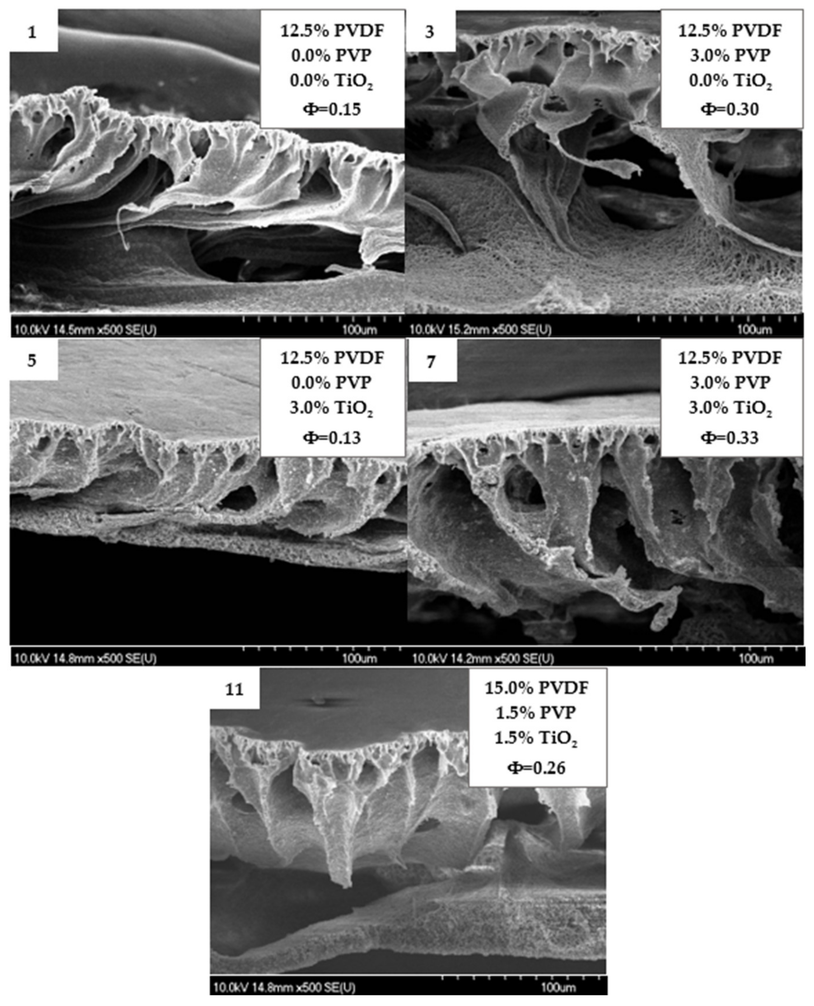 Polymers 14 00113 g004 Polymers 14 00113 g004