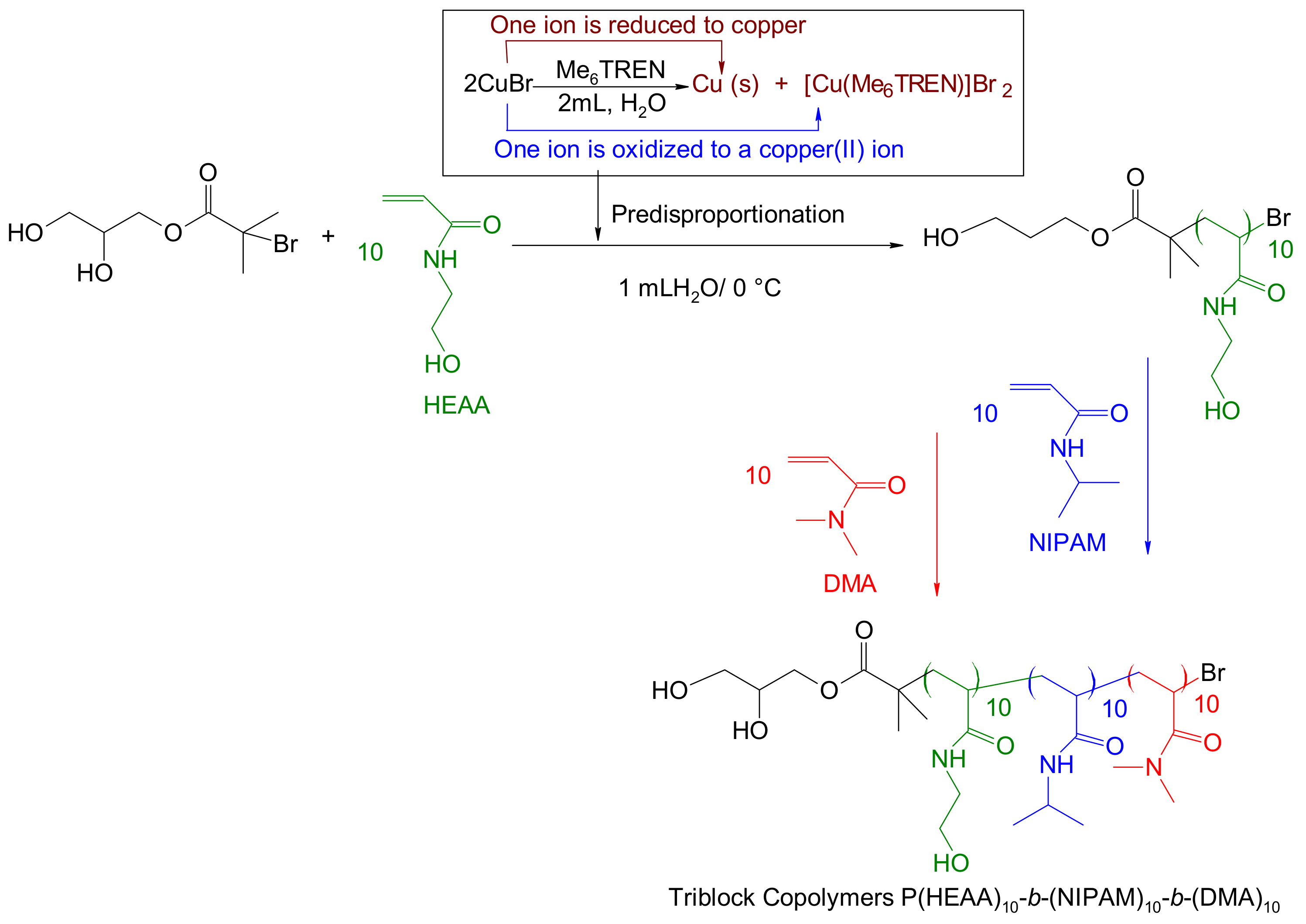 Polymers 14 00116 sch001 Polymers 14 00116 sch001