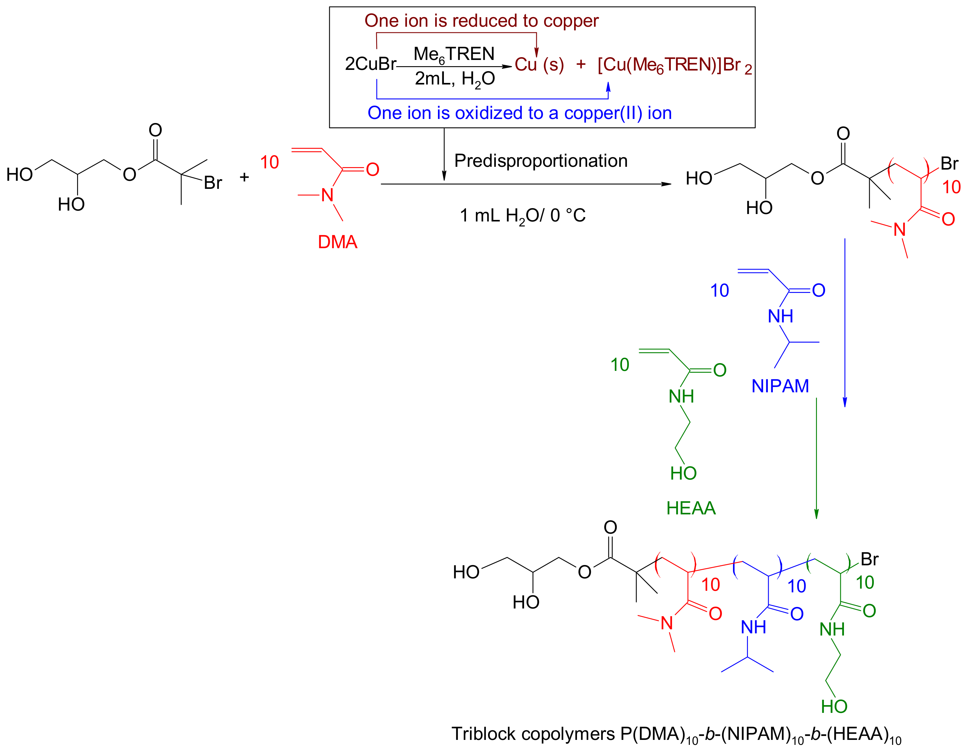 Polymers 14 00116 sch002 Polymers 14 00116 sch002