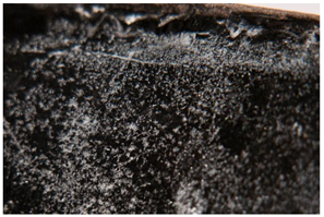 Polymers 14 00121 i001