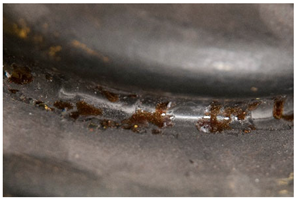 Polymers 14 00121 i003