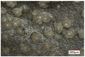 Polymers 14 00121 i004