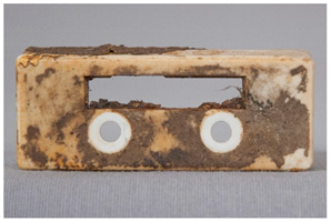 Polymers 14 00121 i006