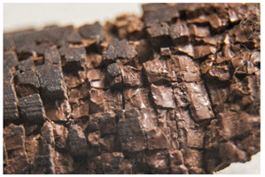 Polymers 14 00121 i022