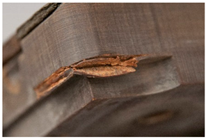 Polymers 14 00121 i033