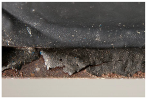 Polymers 14 00121 i034