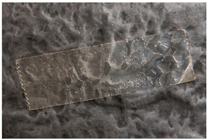 Polymers 14 00121 i035