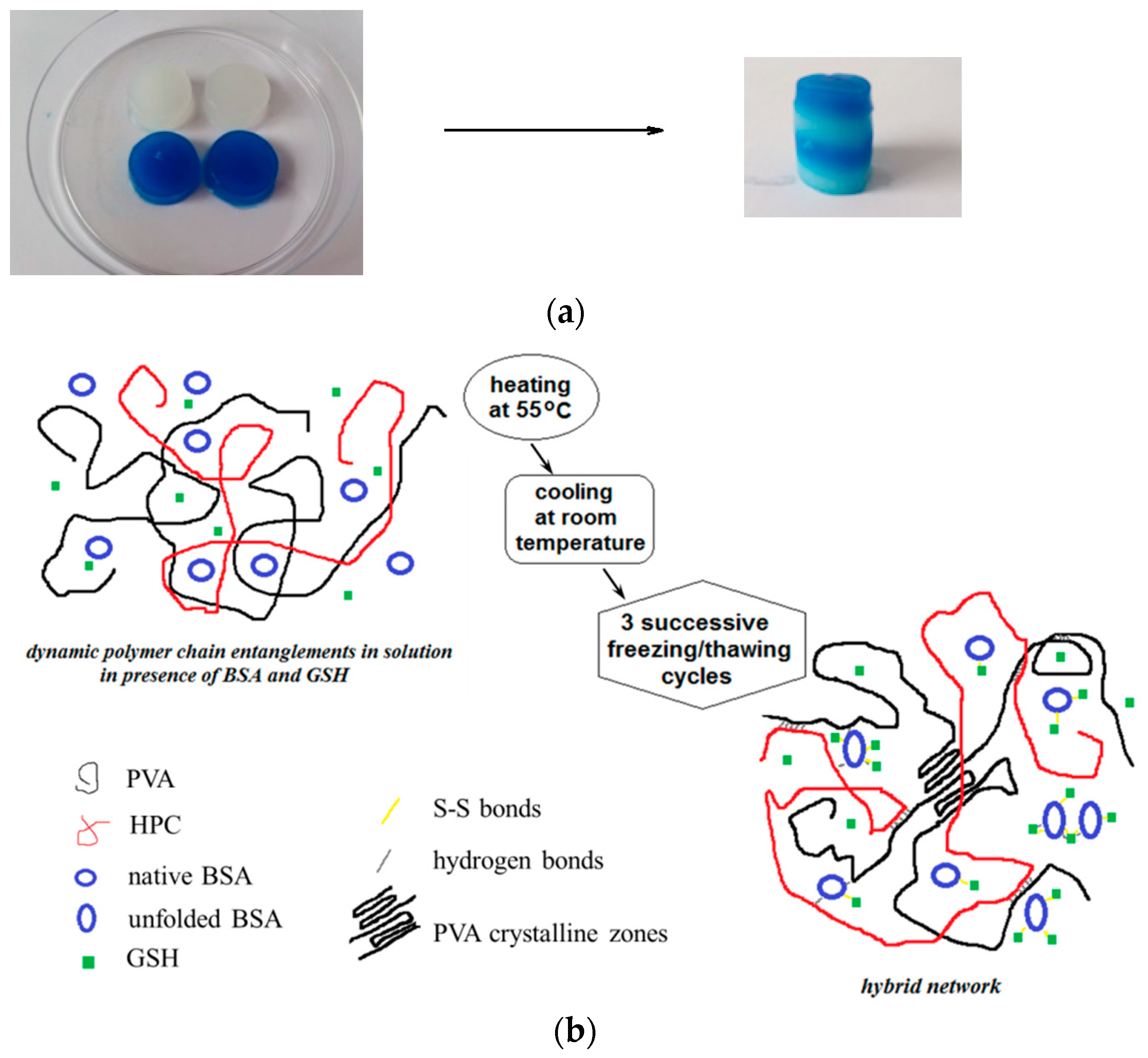 Polymers 14 00130 g005