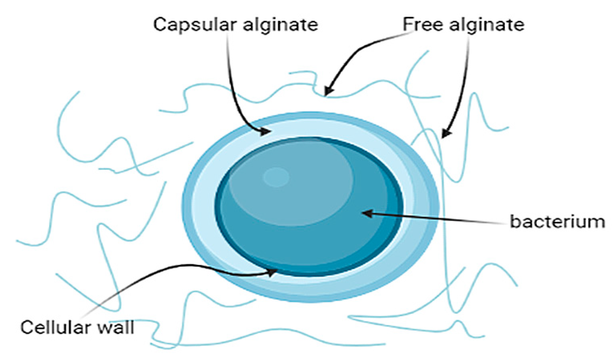 Polymers 14 00131 g003