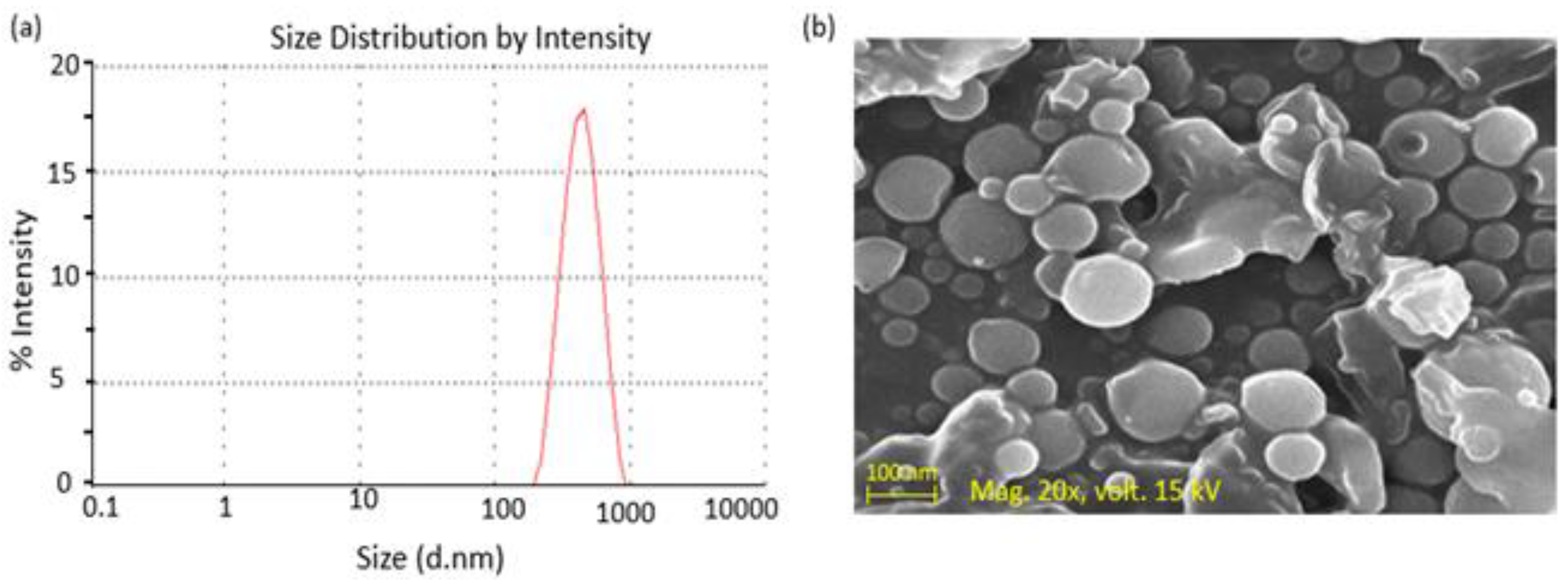 Polymers 14 00135 g002