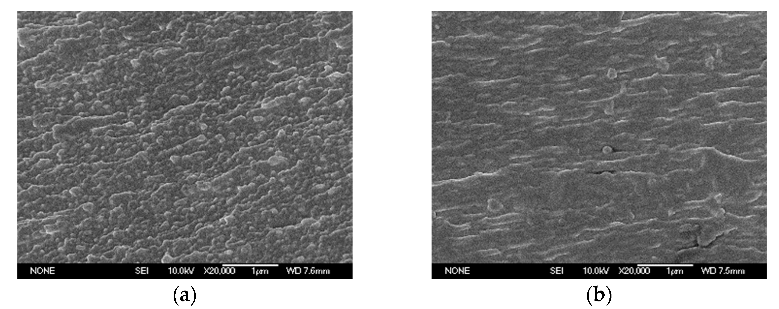 Polymers 14 00146 g006